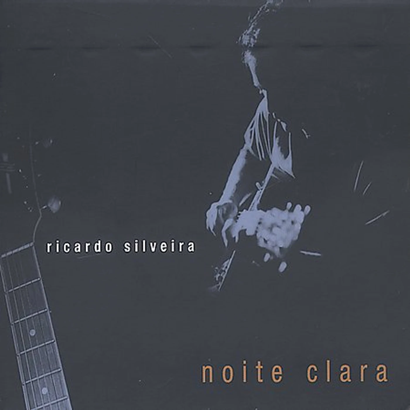 Ricardo Silveira NOITE CLARA CD