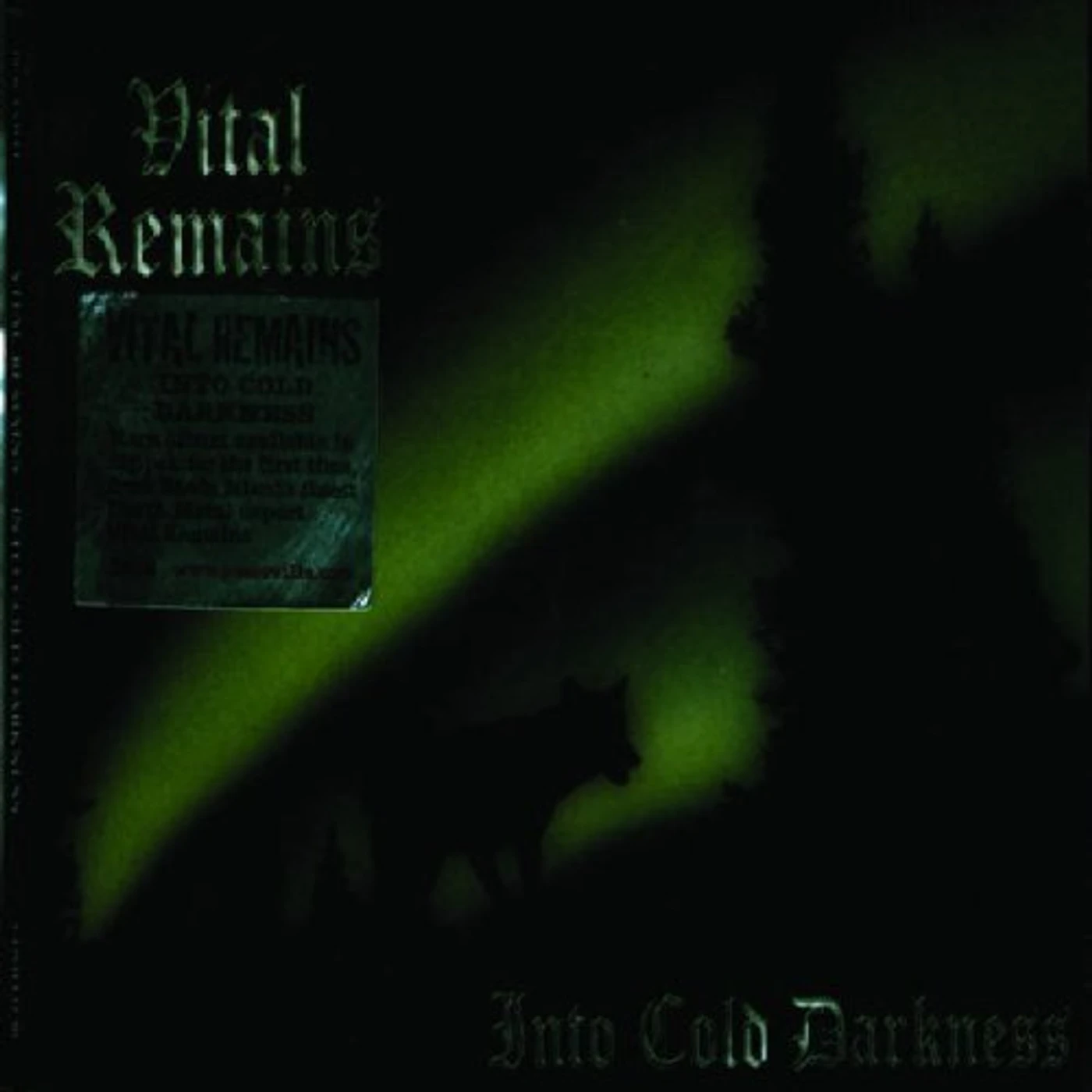 Vital Remains INTO COLD DARKNESS CD