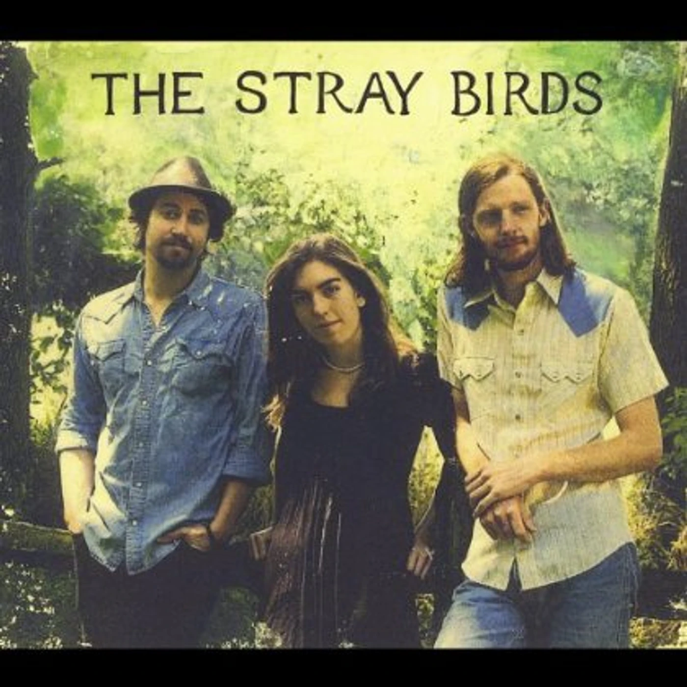 STRAY BIRDS CD