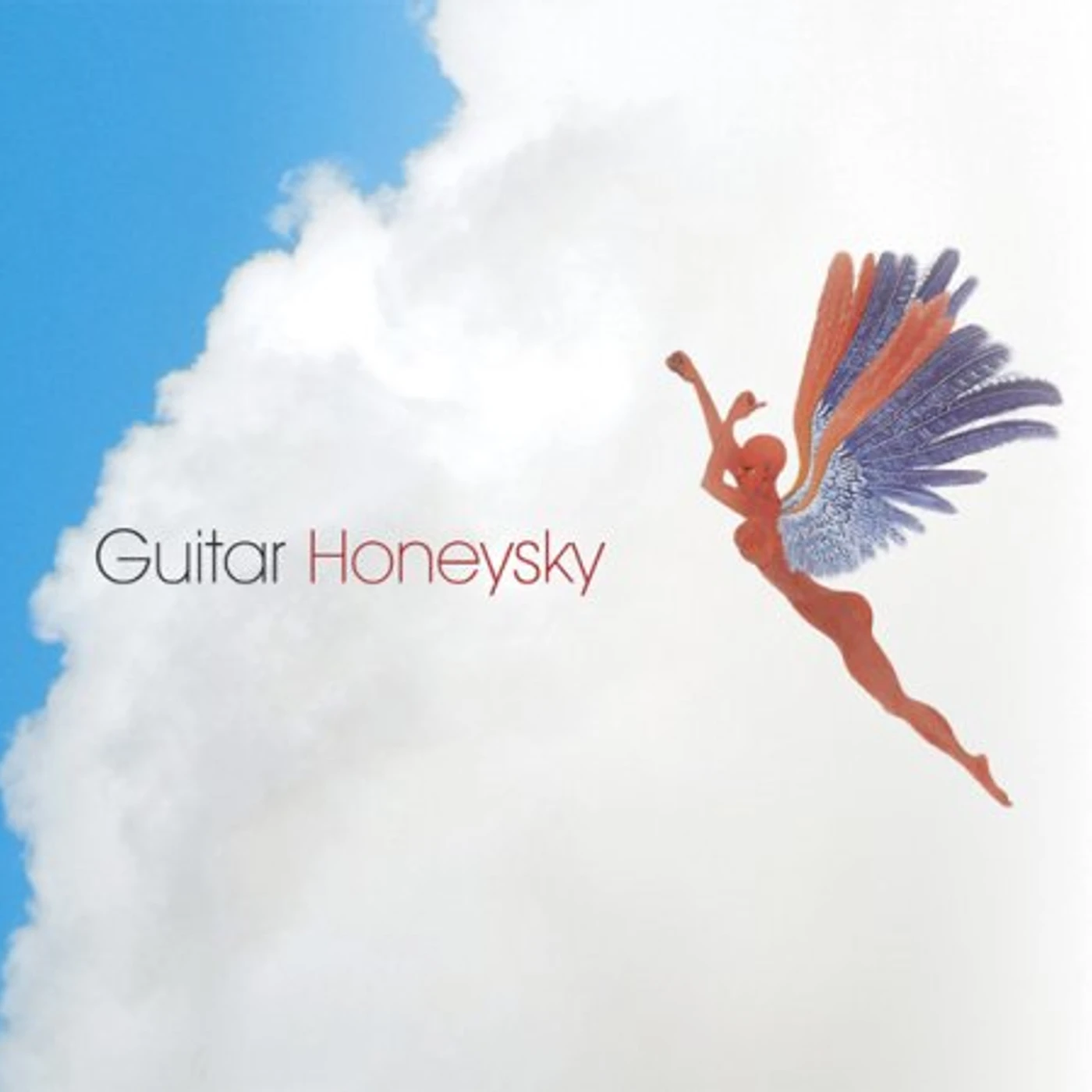 Guitar HONEYSKY CD