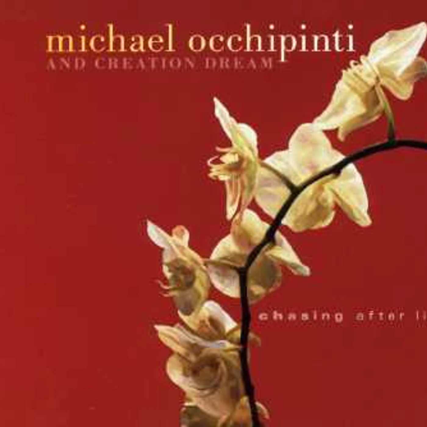 Michael Occhipinti CHASING AFTER LIGHT CD