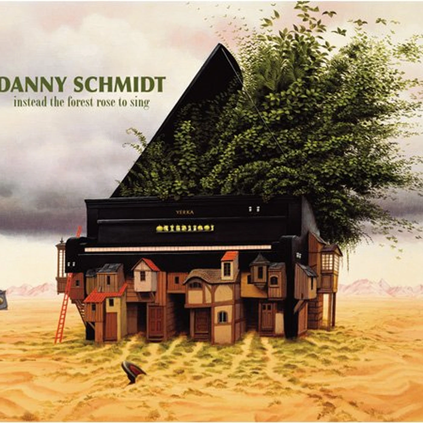 Danny Schmidt INSTEAD THE FOREST ROSE TO SING CD