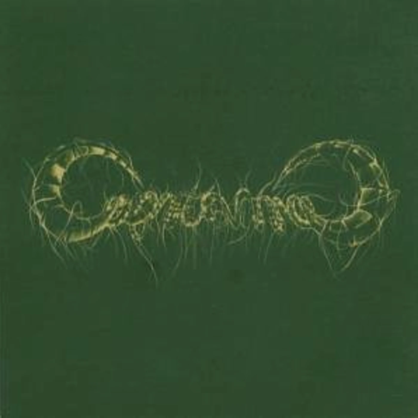 Capricorns Vinyl Record