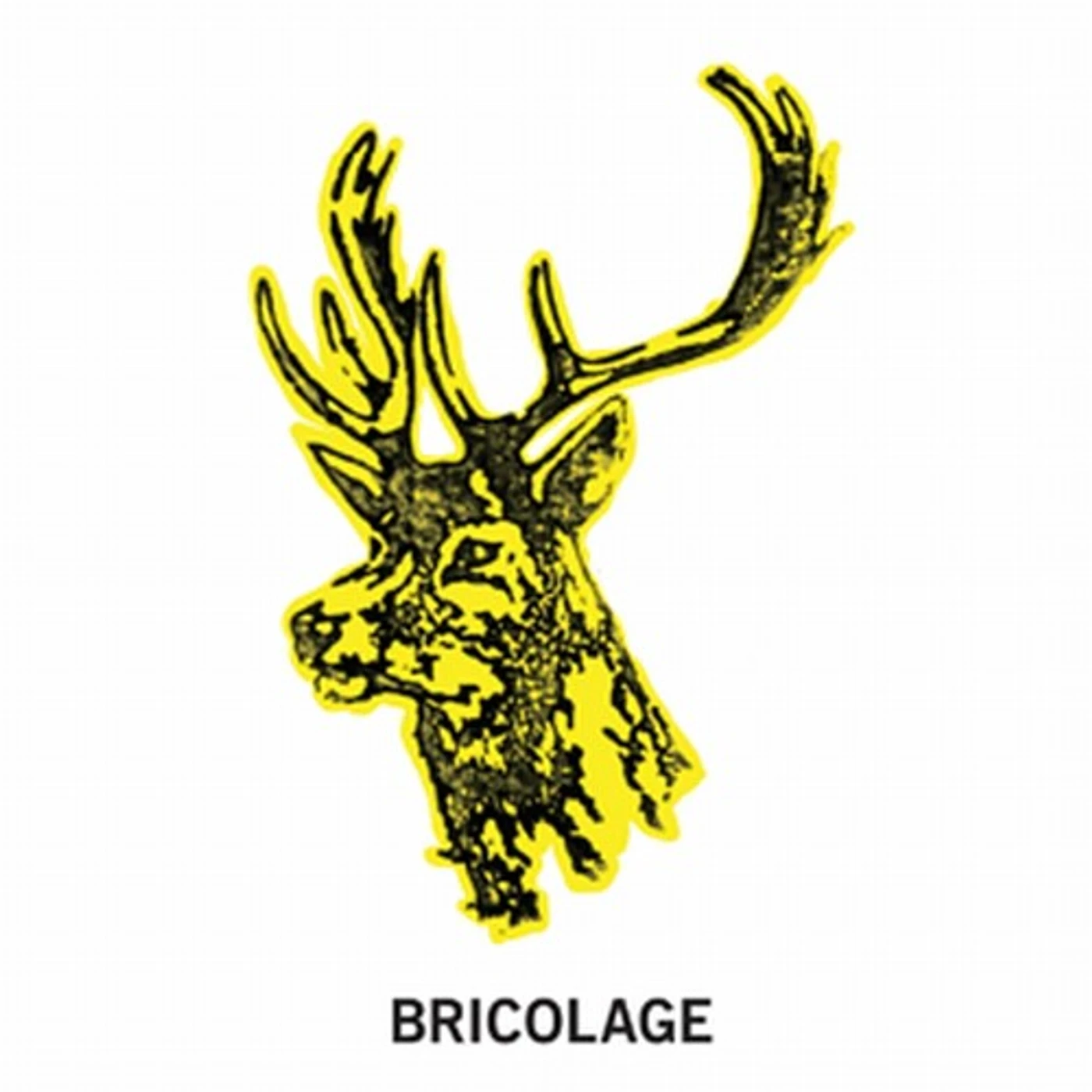 Bricolage Vinyl Record