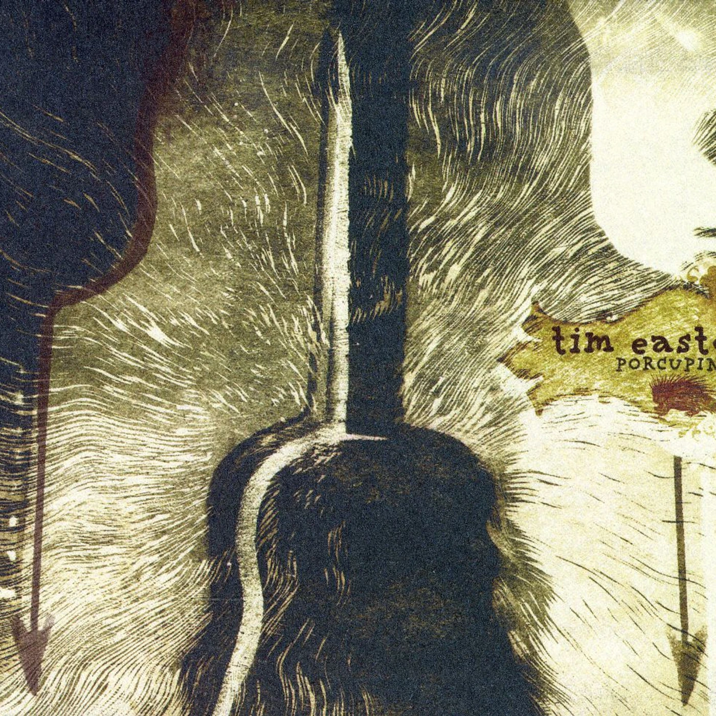 Tim Easton PORCUPINE CD