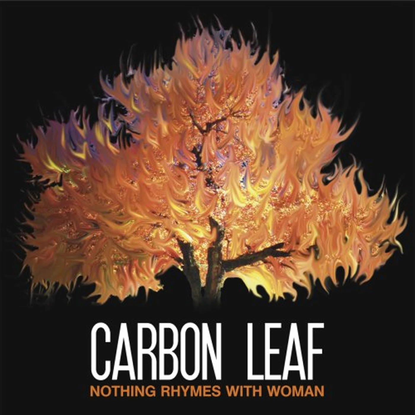 Carbon Leaf NOTHING RHYMES WITH WOMAN CD