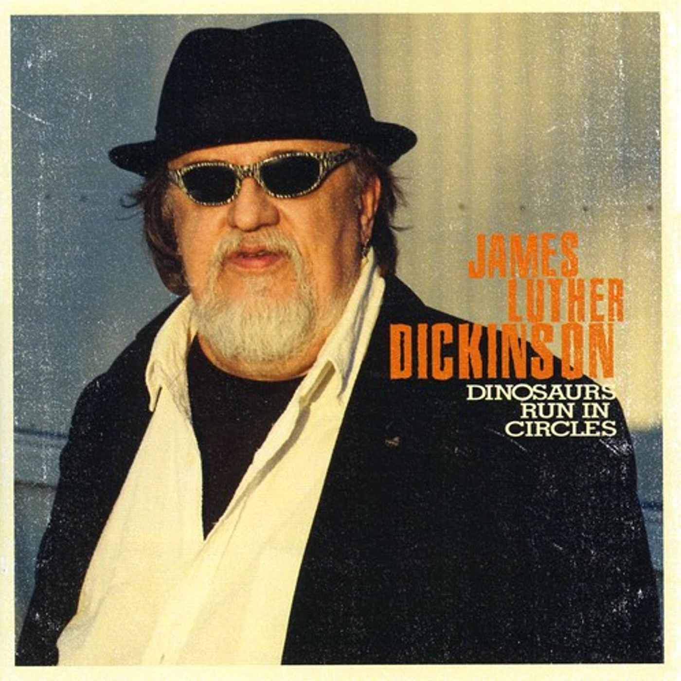 James Luther Dickinson DINOSAURS RUN IN CIRCLES CD