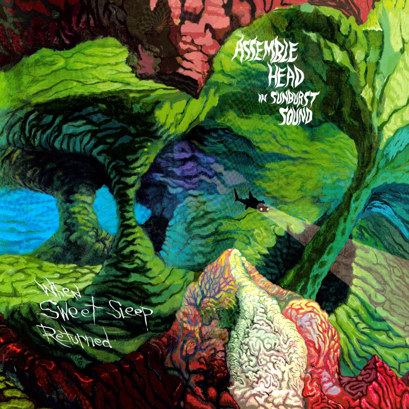 Assemble Head In Sunburst Sound When Sweet Sleep Returned Vinyl Record