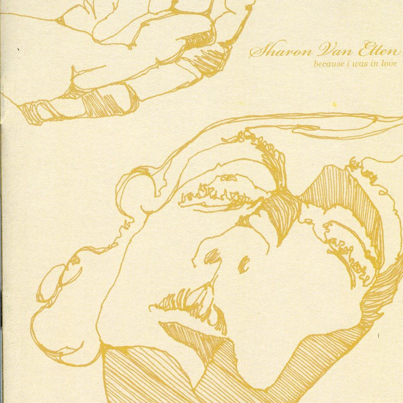Sharon Van Etten BECAUSE I WAS IN LOVE CD