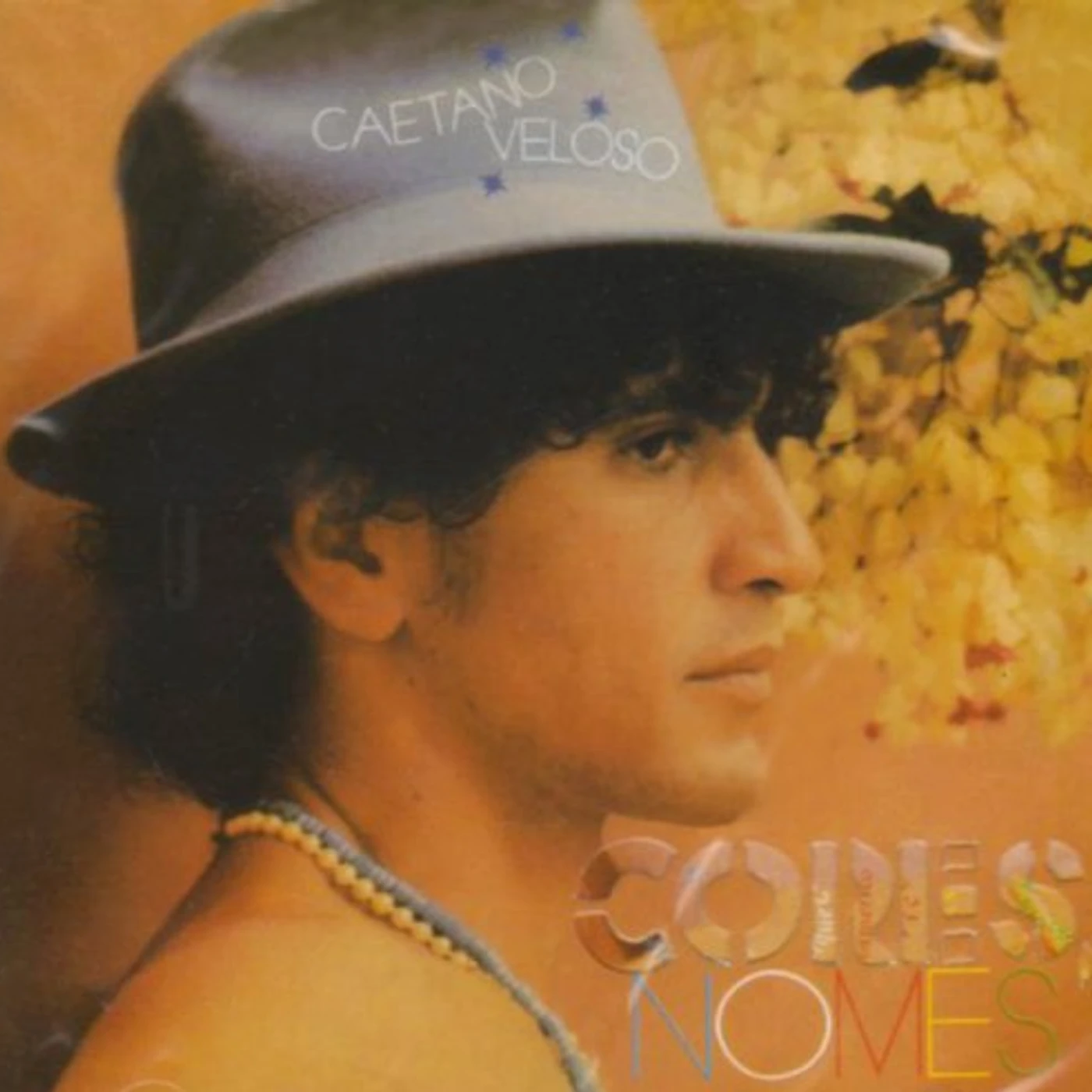 Caetano Veloso CORES & NOMES CD