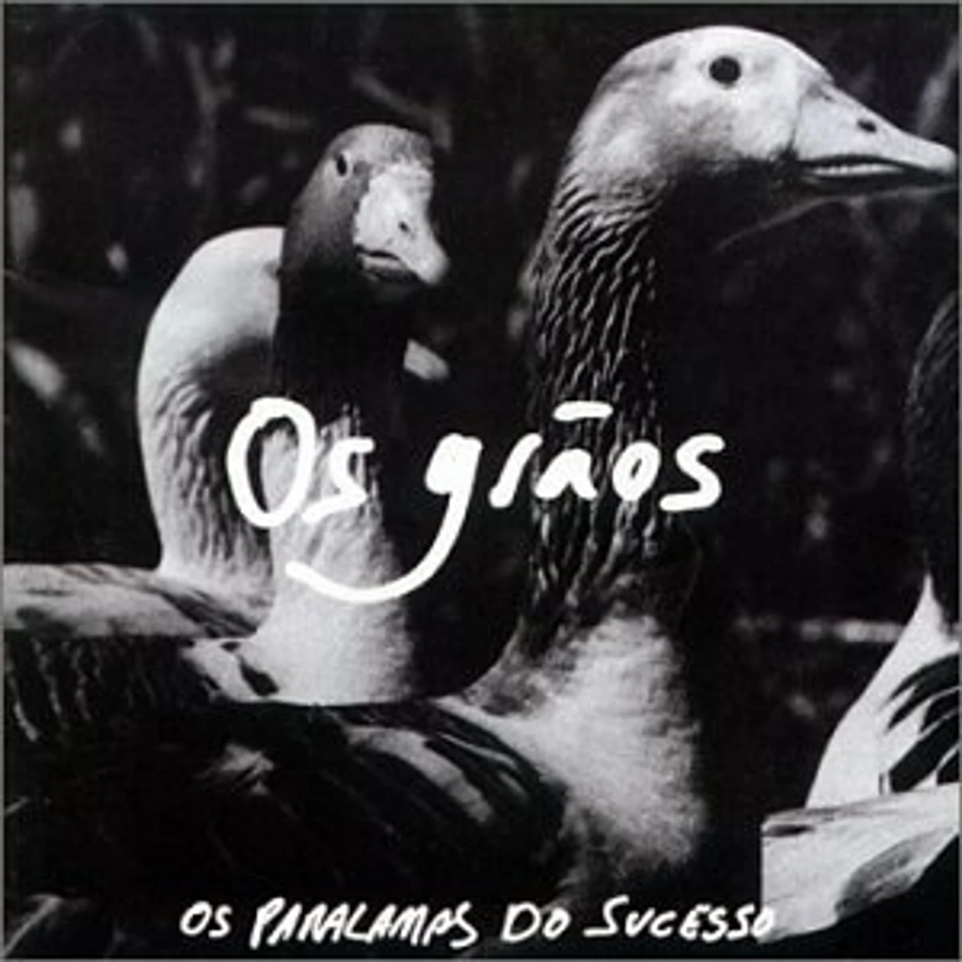 Paralamas do Sucesso OS GRAOS CD