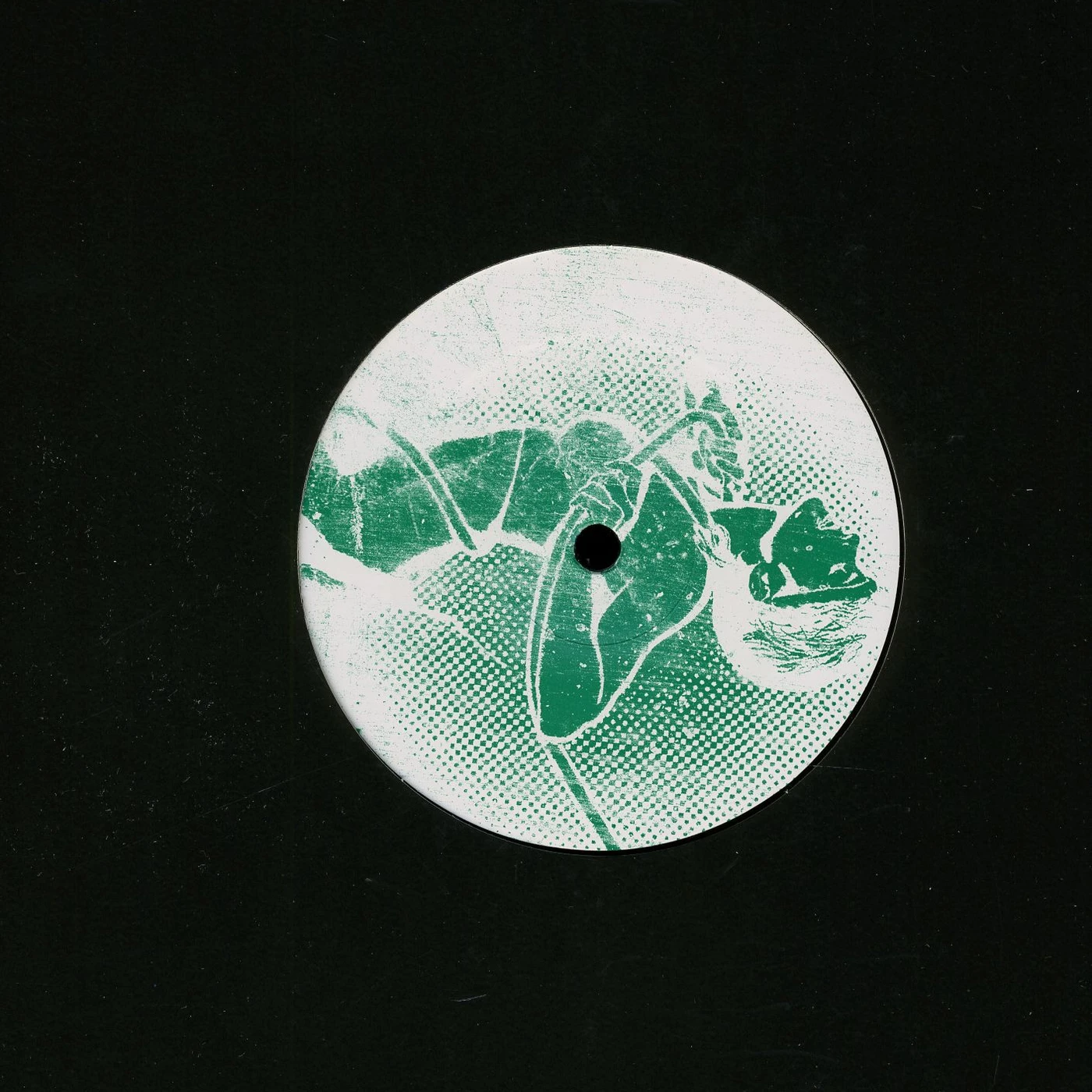 Audiofly X Mar Del Plata Vinyl Record