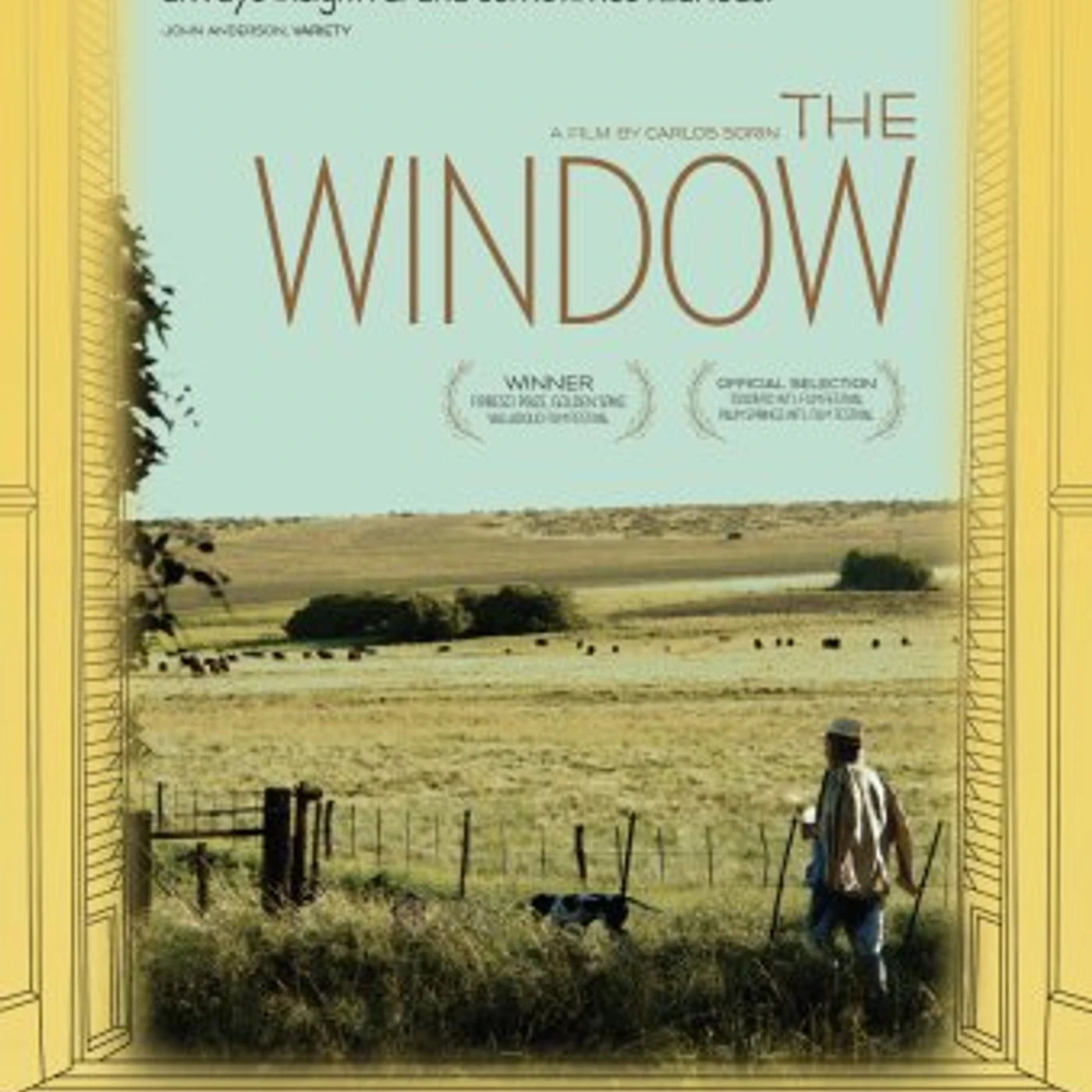 WINDOW DVD