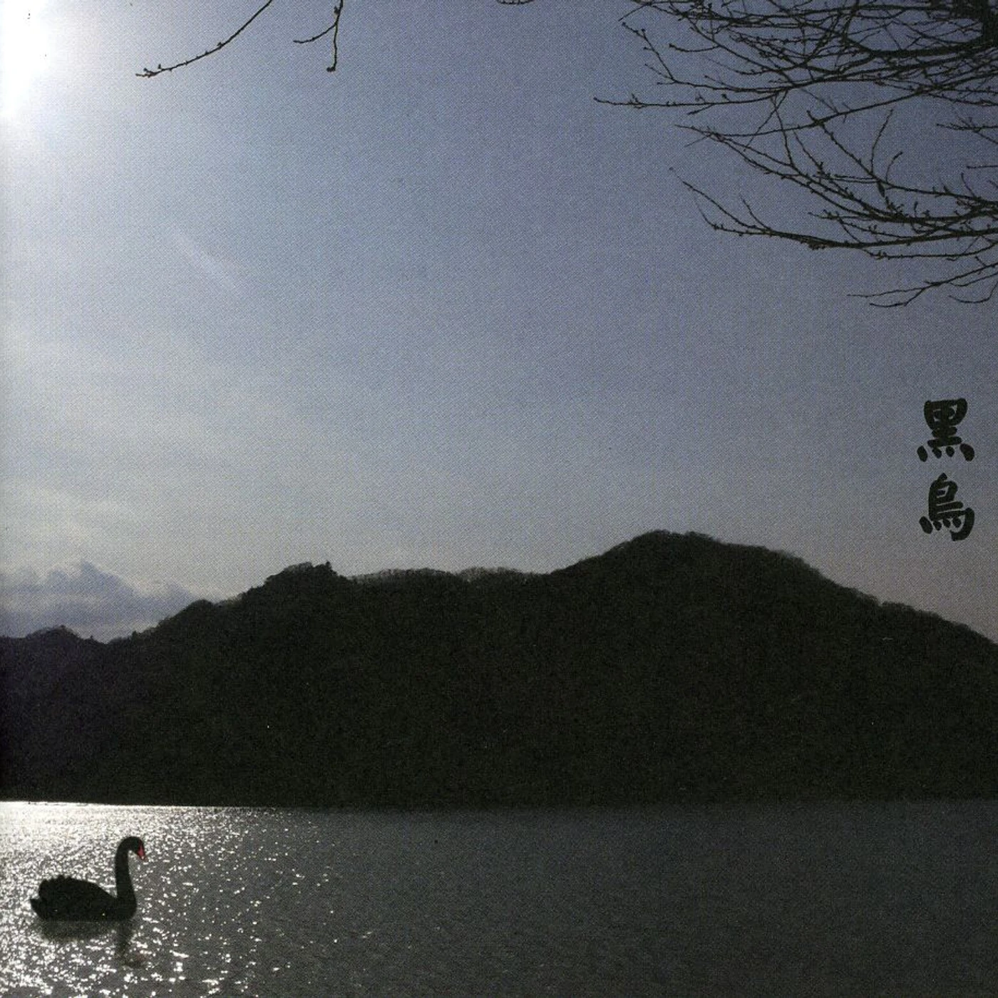 Merzbow 13 JAPANESE BIRDS 8 CD