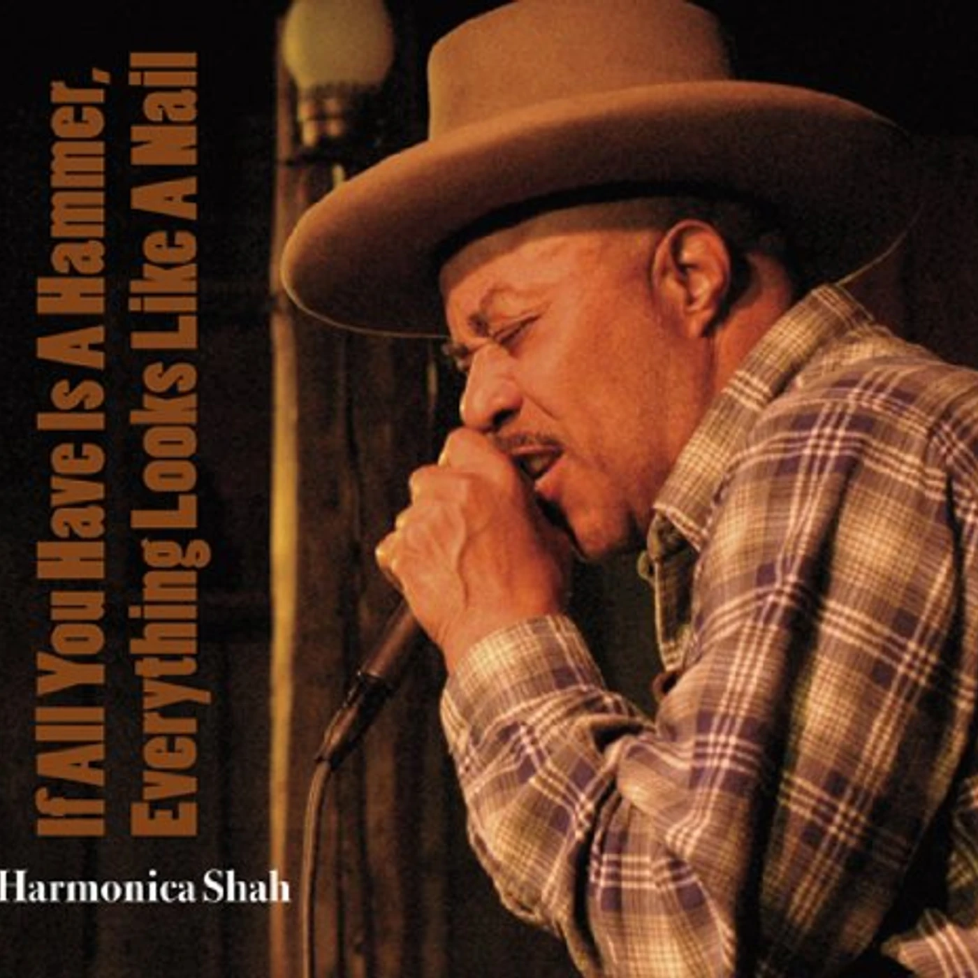 Harmonica Shah IF ALL YOU HAVE IS A HAMMER CD
