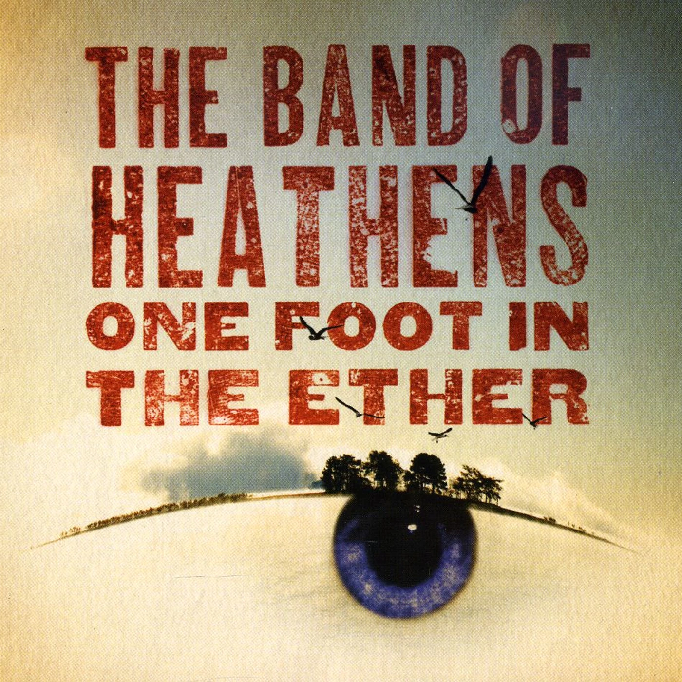 The Band Of Heathens ONE FOOT IN THE ETHER CD