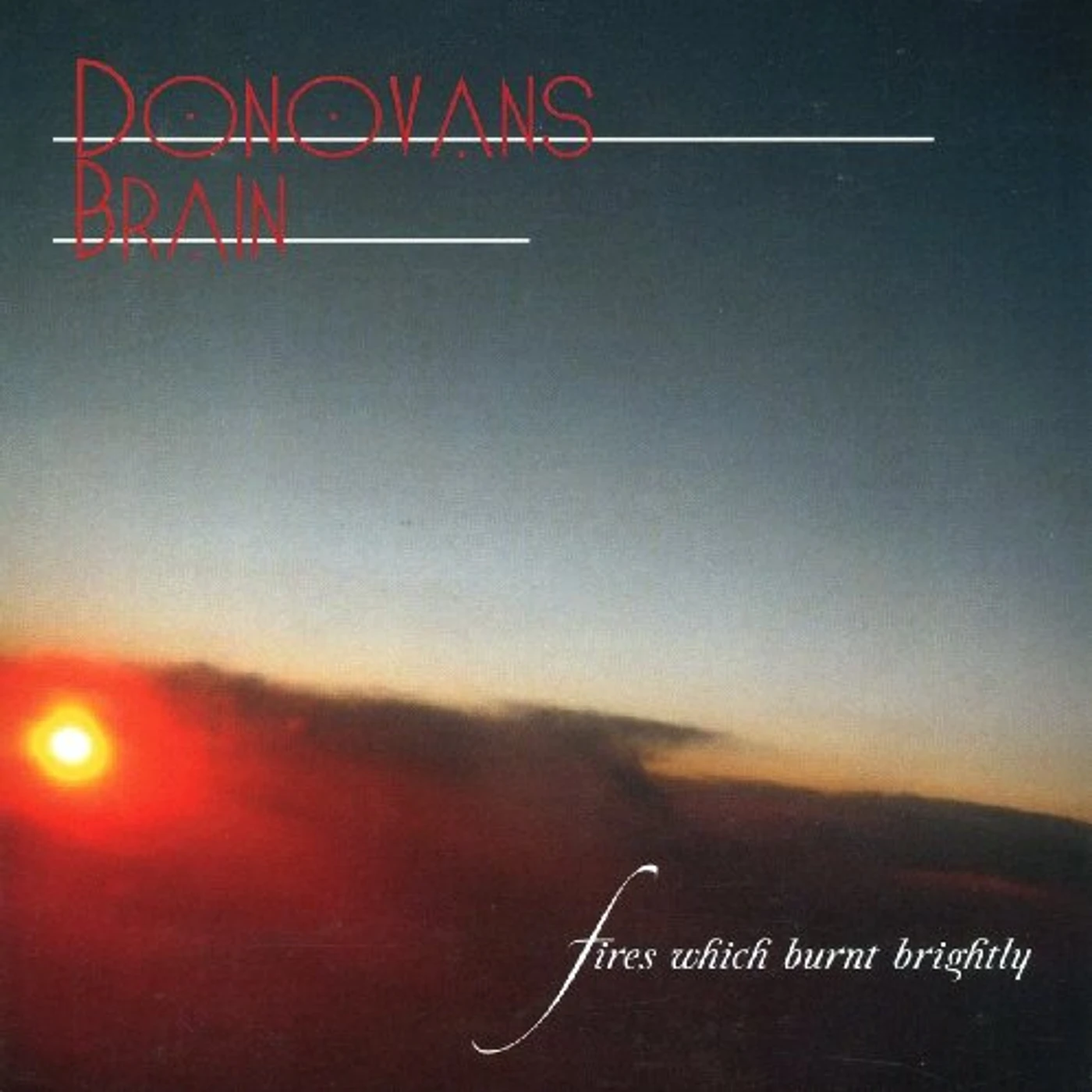 Donovan's Brain FIRES WHICH BURNT BRIGHTLY CD
