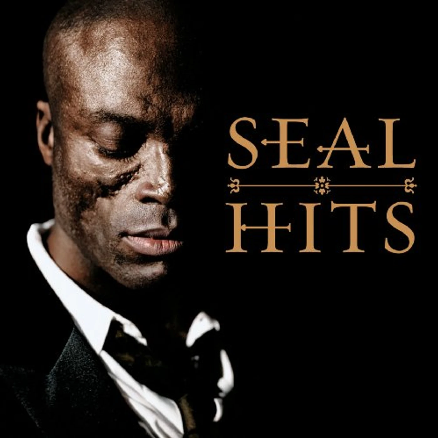 Seal HITS CD