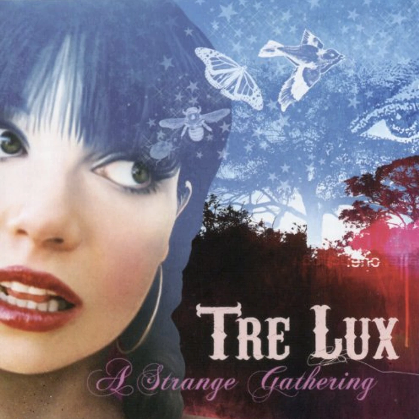 Tre Lux STRANGE GATHERING CD