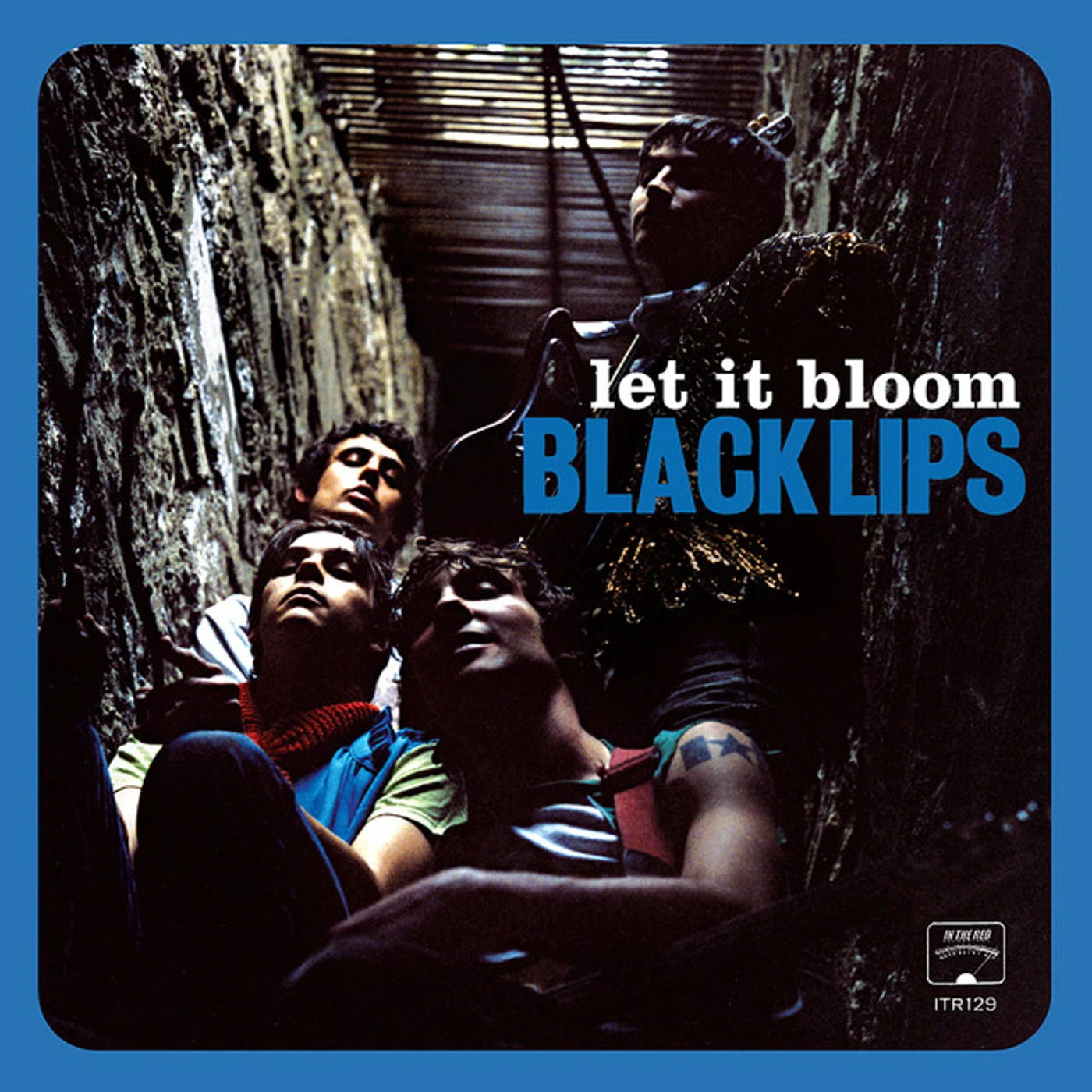 Black Lips Let It Bloom Vinyl Record