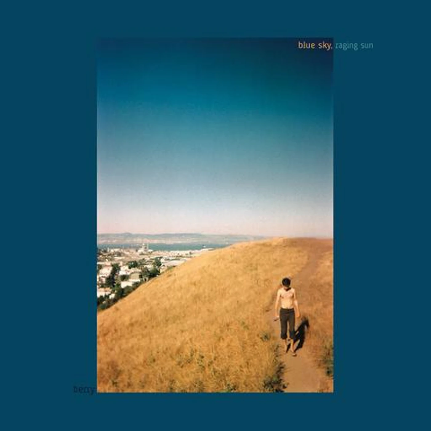 BERRY BLUE SKY RAGING RUN Vinyl Record