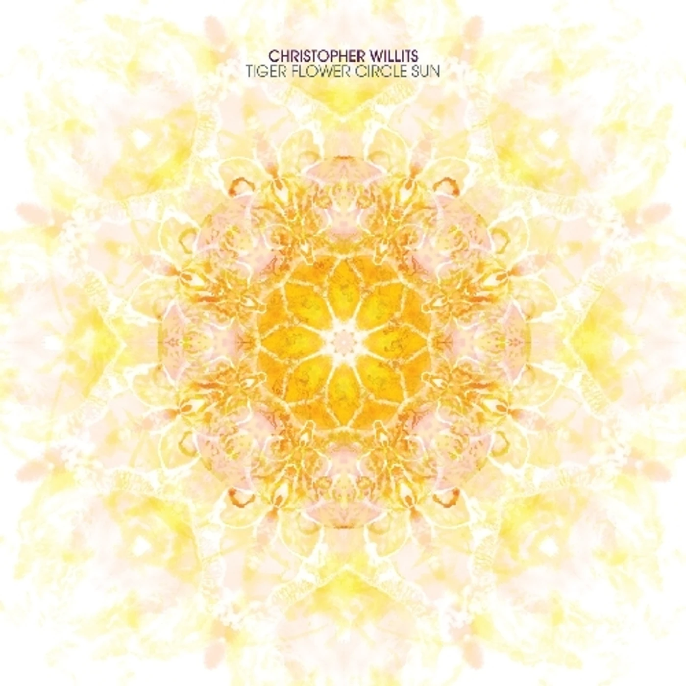 Christopher Willits TIGER FLOWER CIRCLE SUN CD