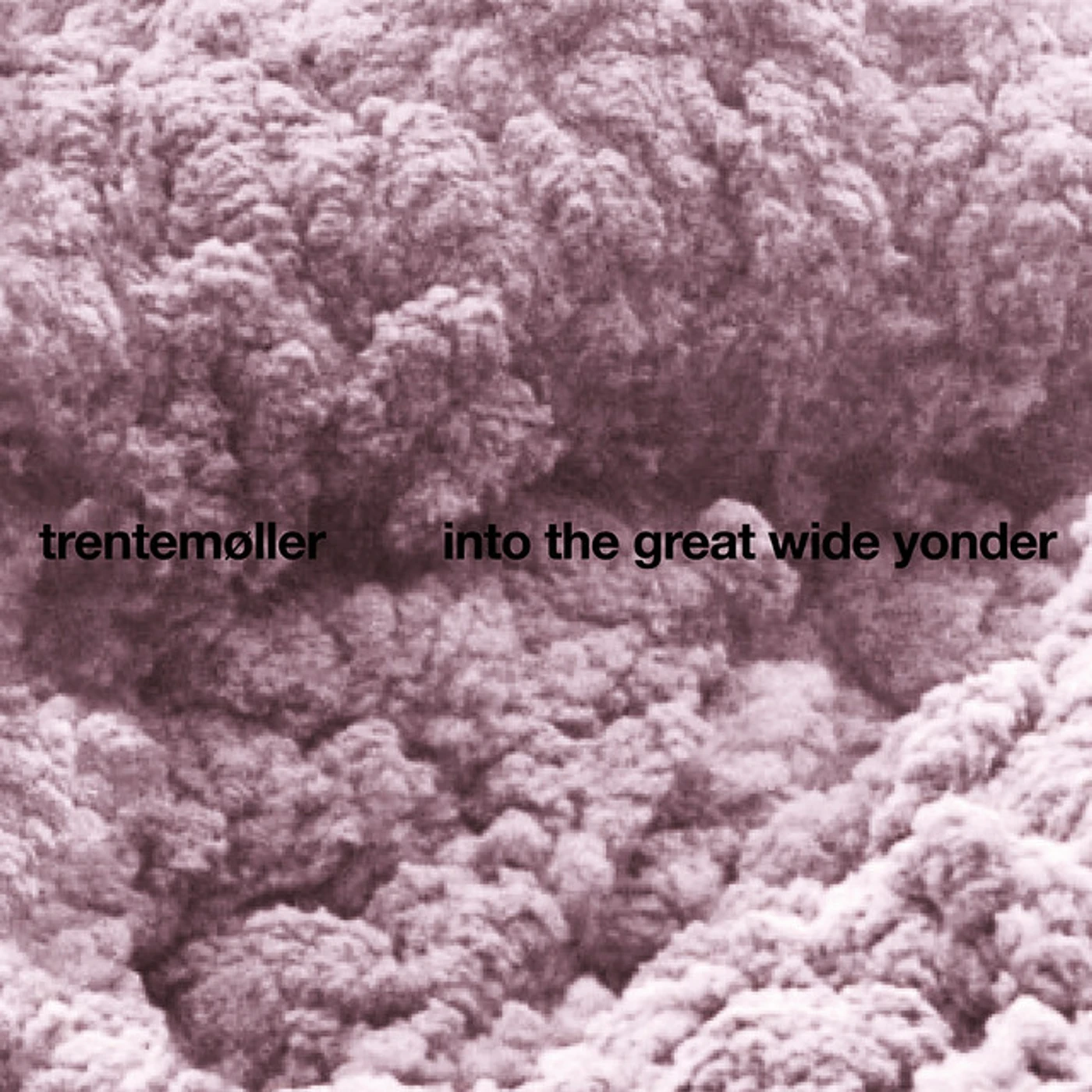 Trentemøller INTO THE GREAT WIDE YONDER: SPECIAL EDITION (CD/DVD) CD