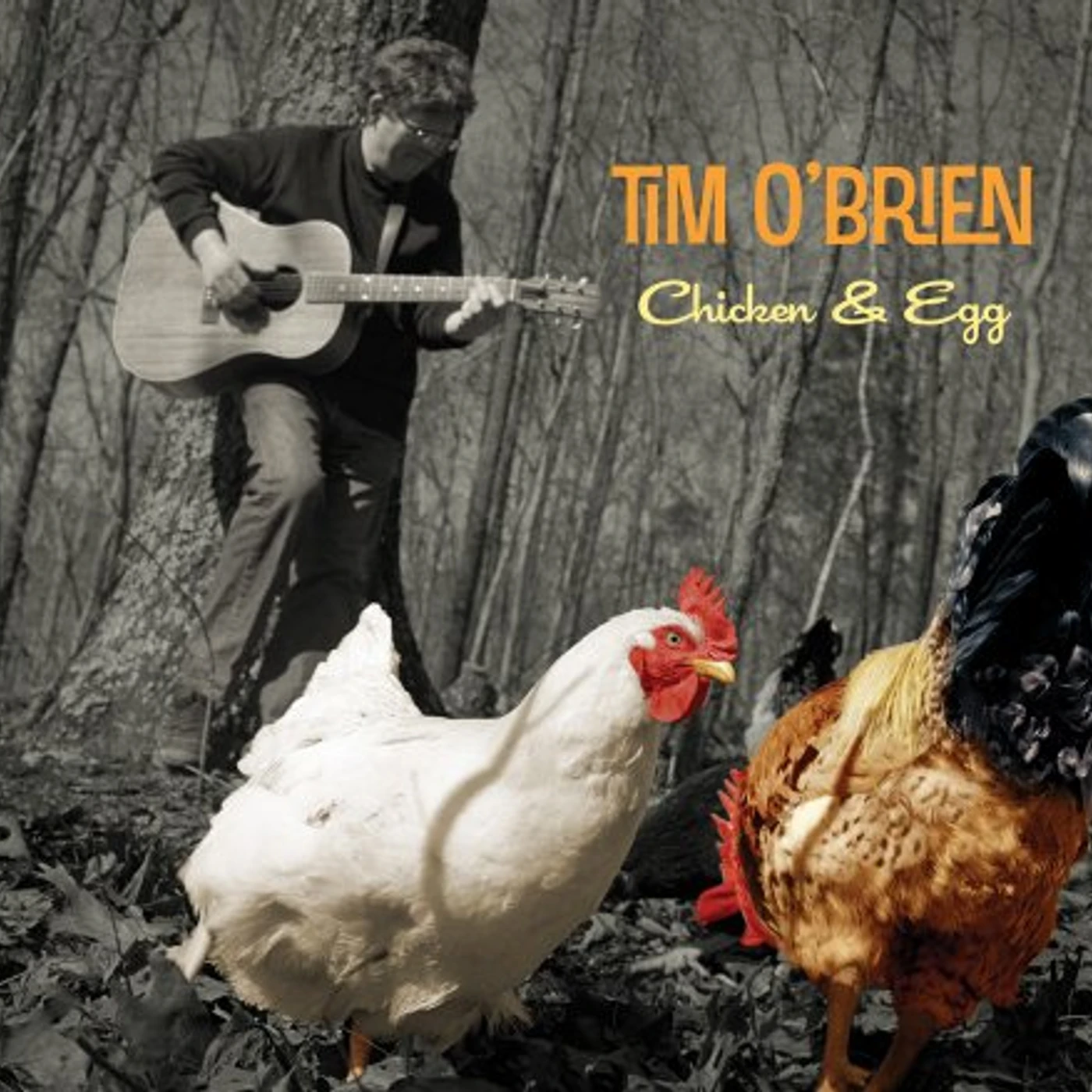 Tim O'Brien CHICKEN & EGG CD