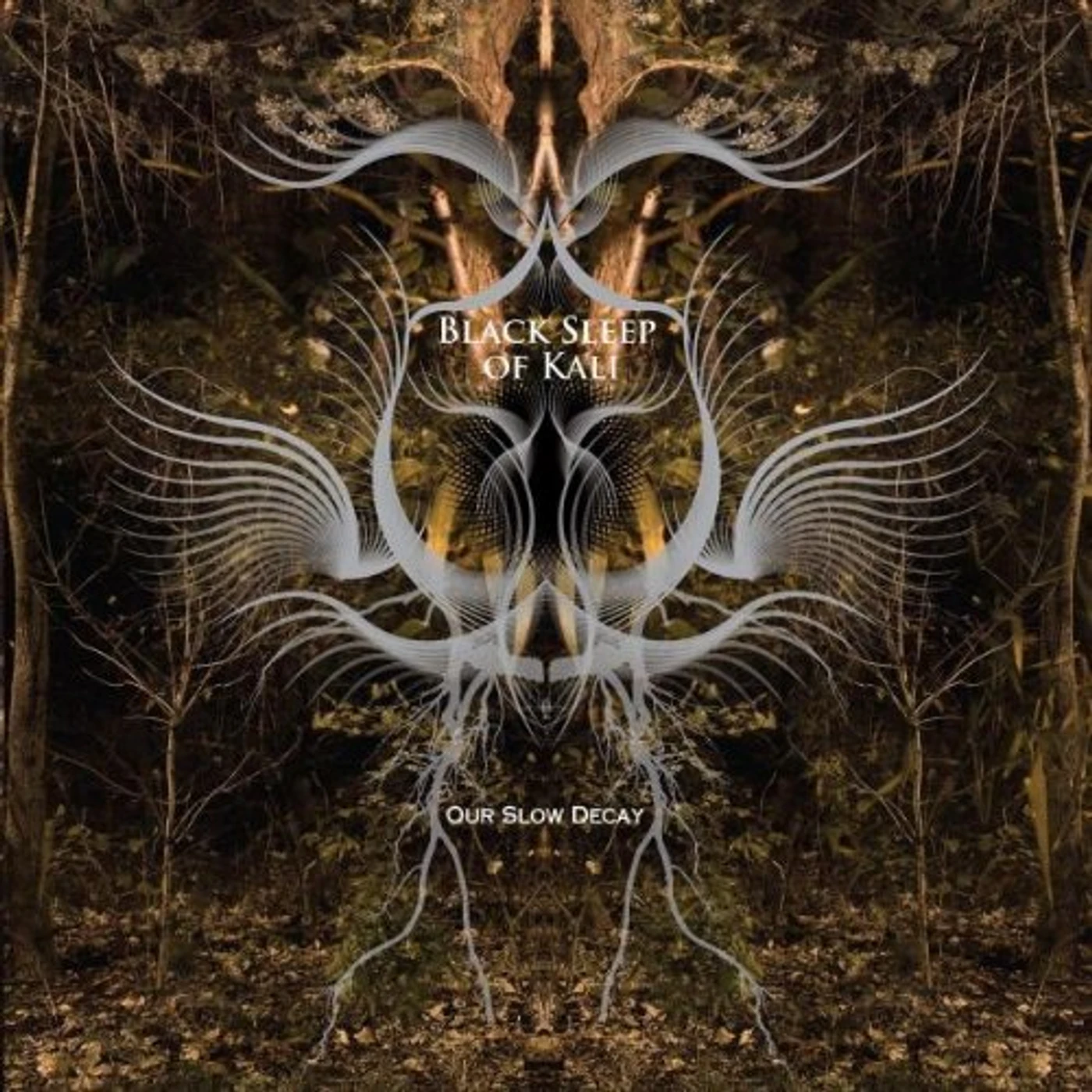 Black Sleep of Kali OUR SLOW DECAY CD