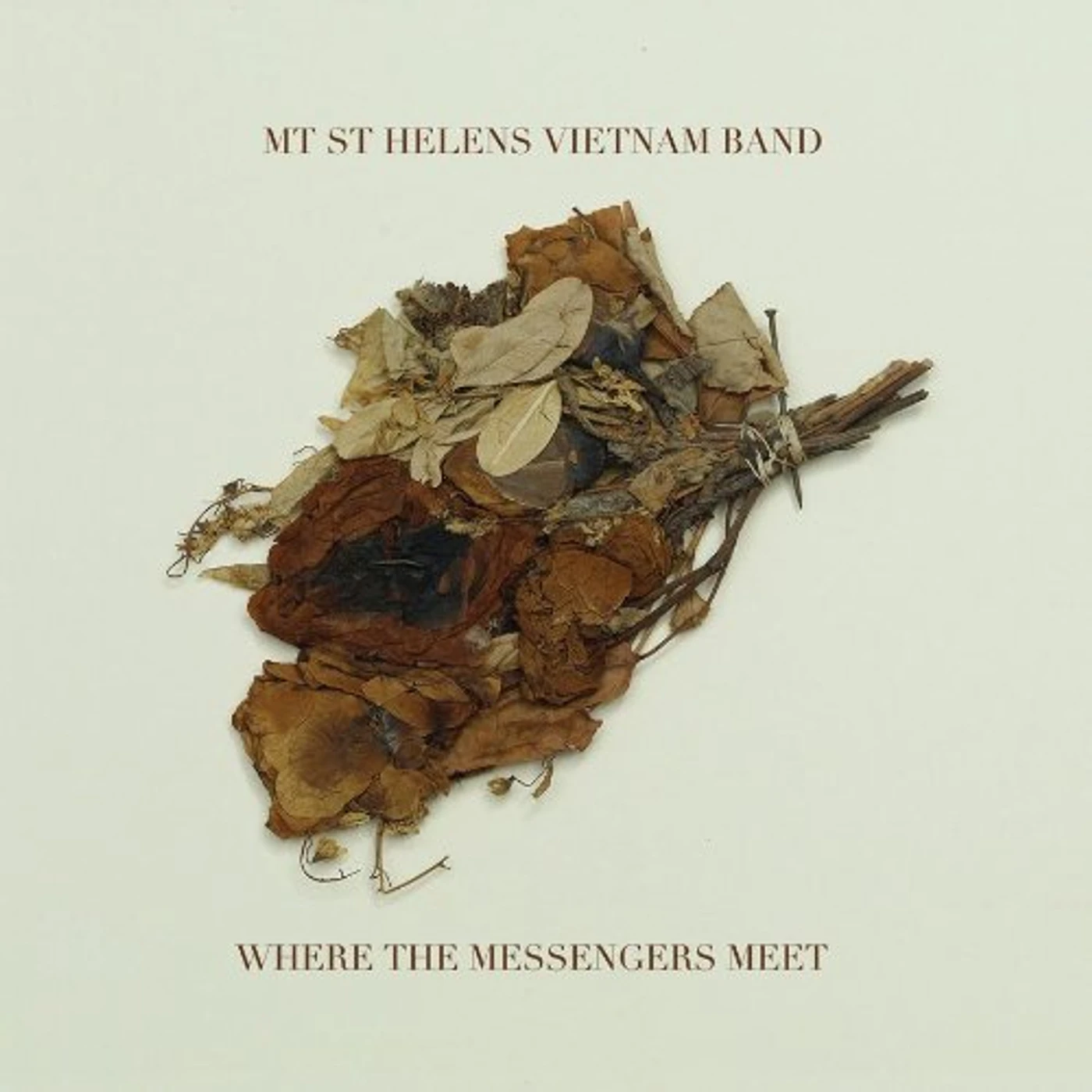 Mt. St. Helens Vietnam Band Where The Messengers Meet Vinyl Record