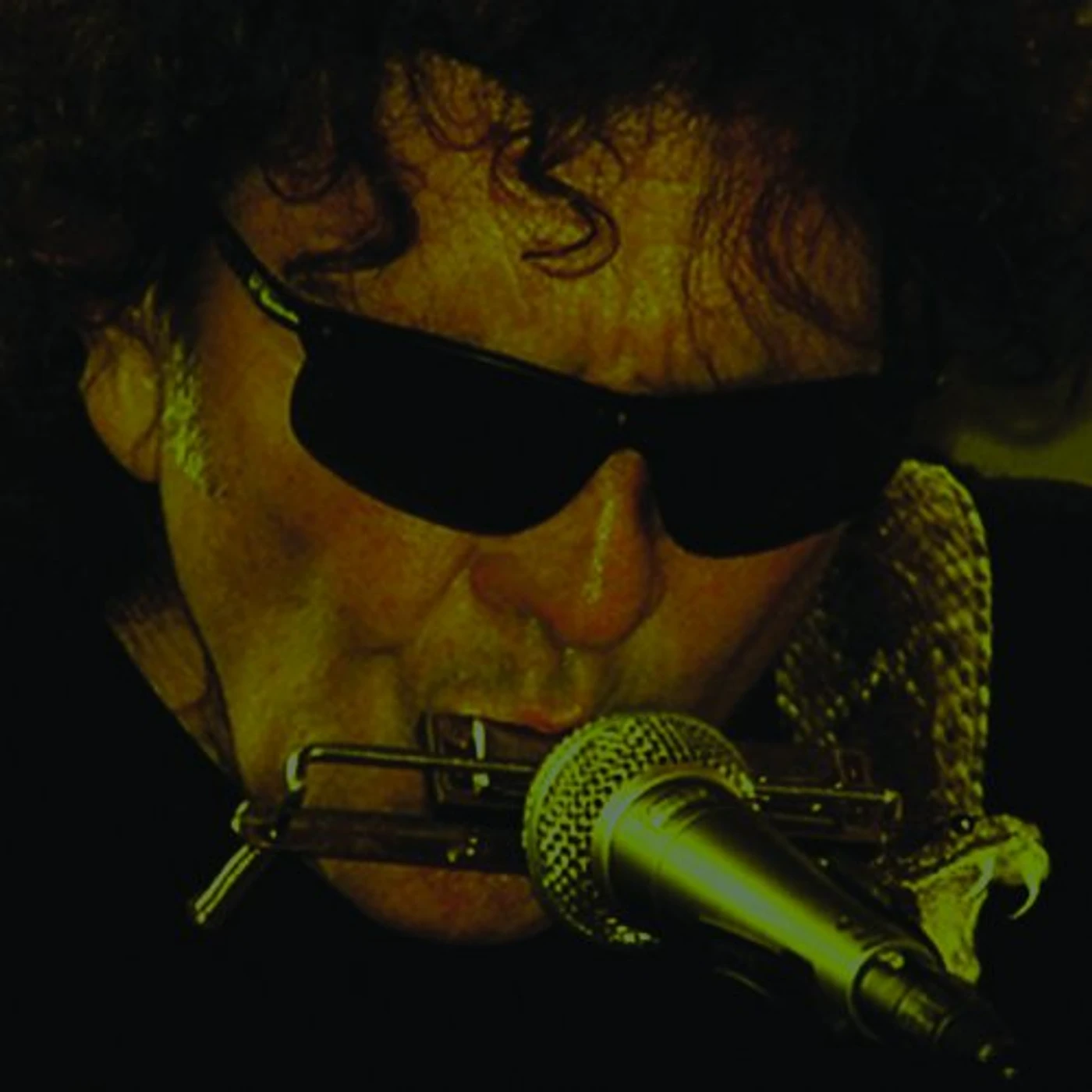 Tony Joe White SHINE CD