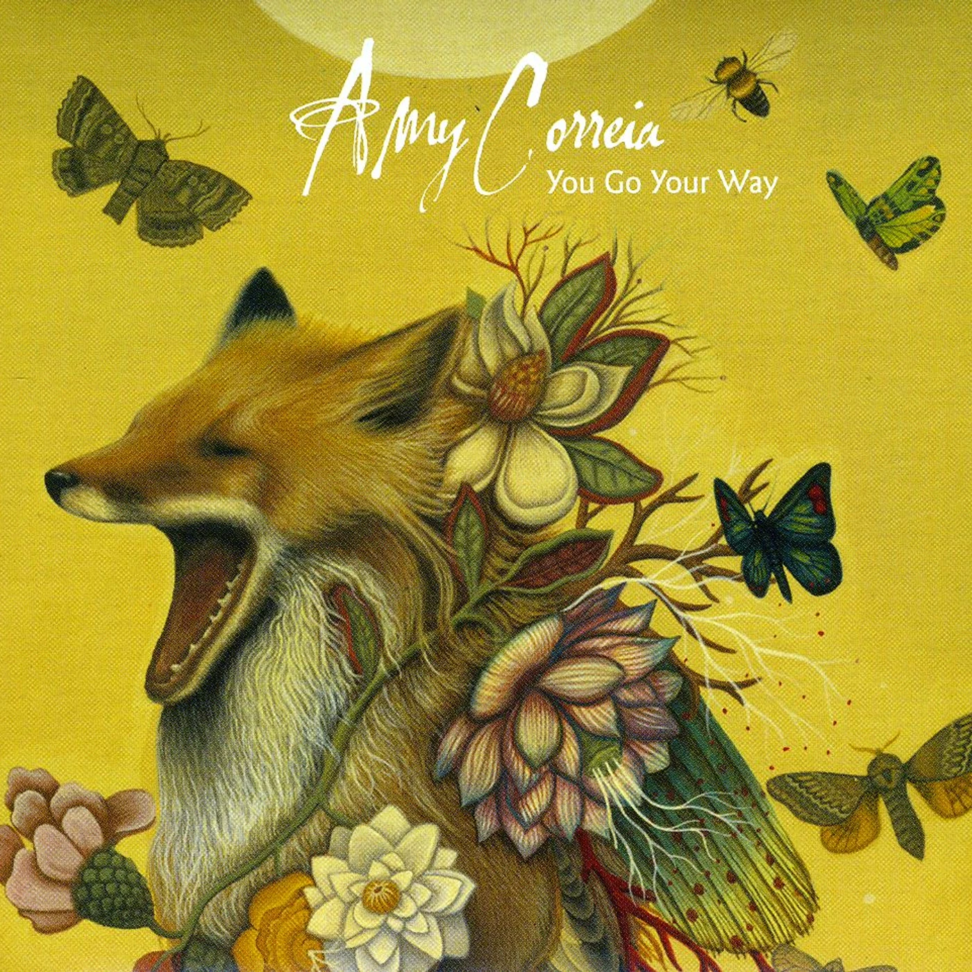Amy Correia YOU GO YOUR WAY CD
