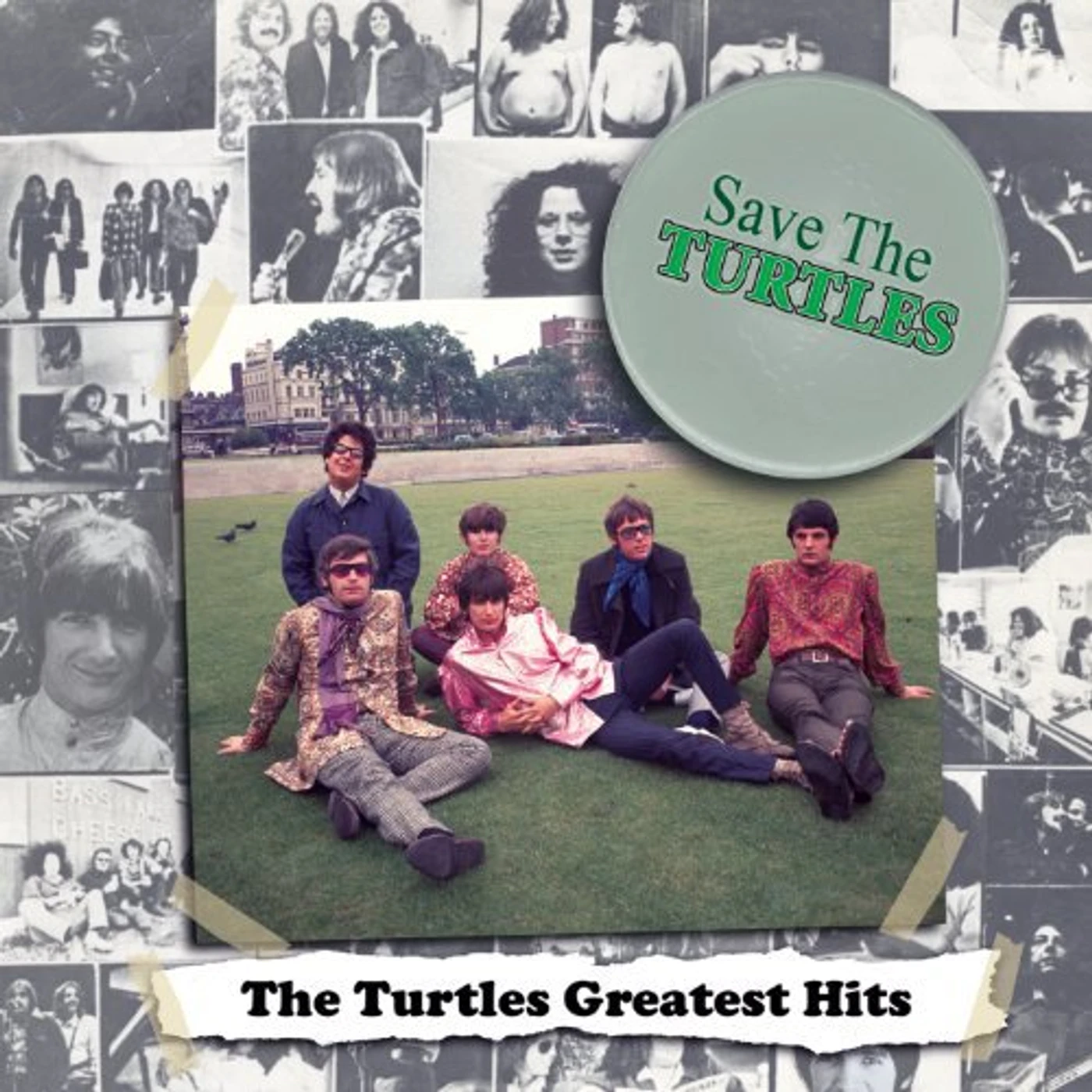 SAVE THE TURTLES Vinyl Record