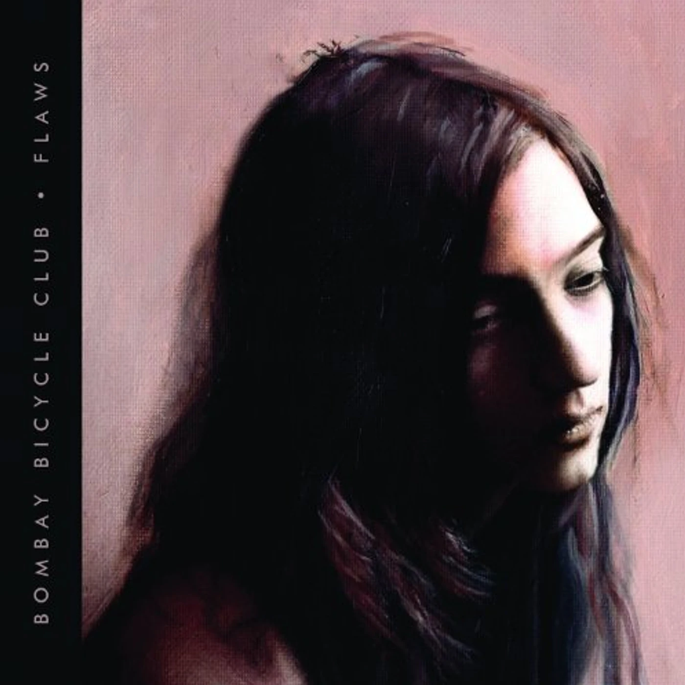 Bombay Bicycle Club FLAWS CD