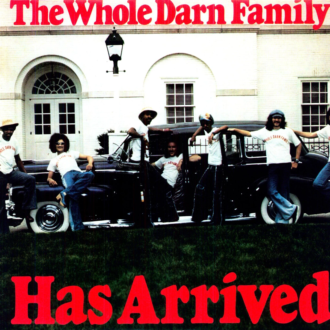 The Whole Darn Family Has Arrived Vinyl Record