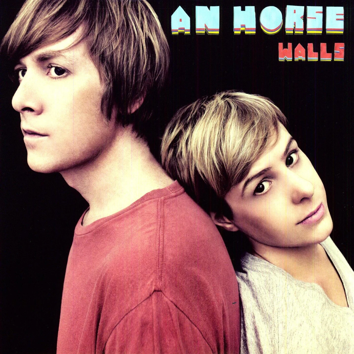 An Horse Walls Vinyl Record