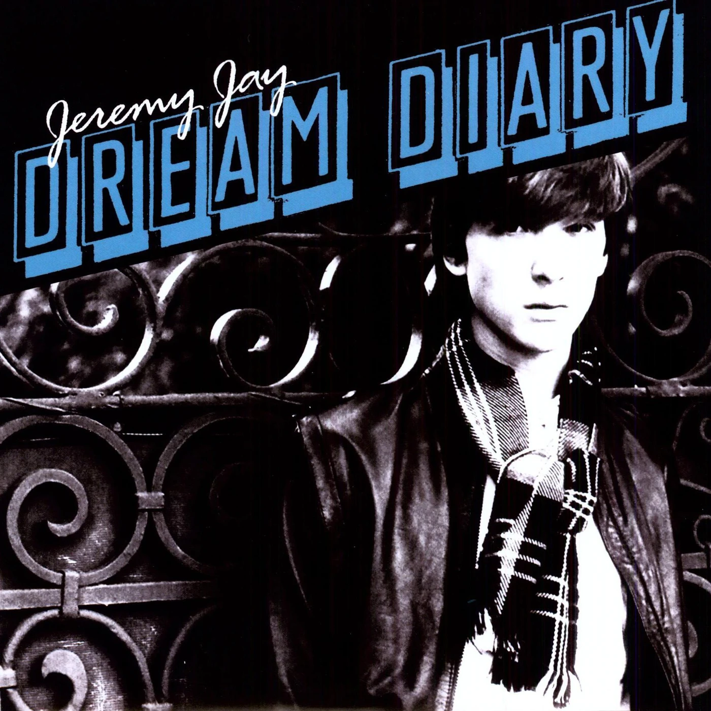 Jeremy Jay Dream Diary Vinyl Record
