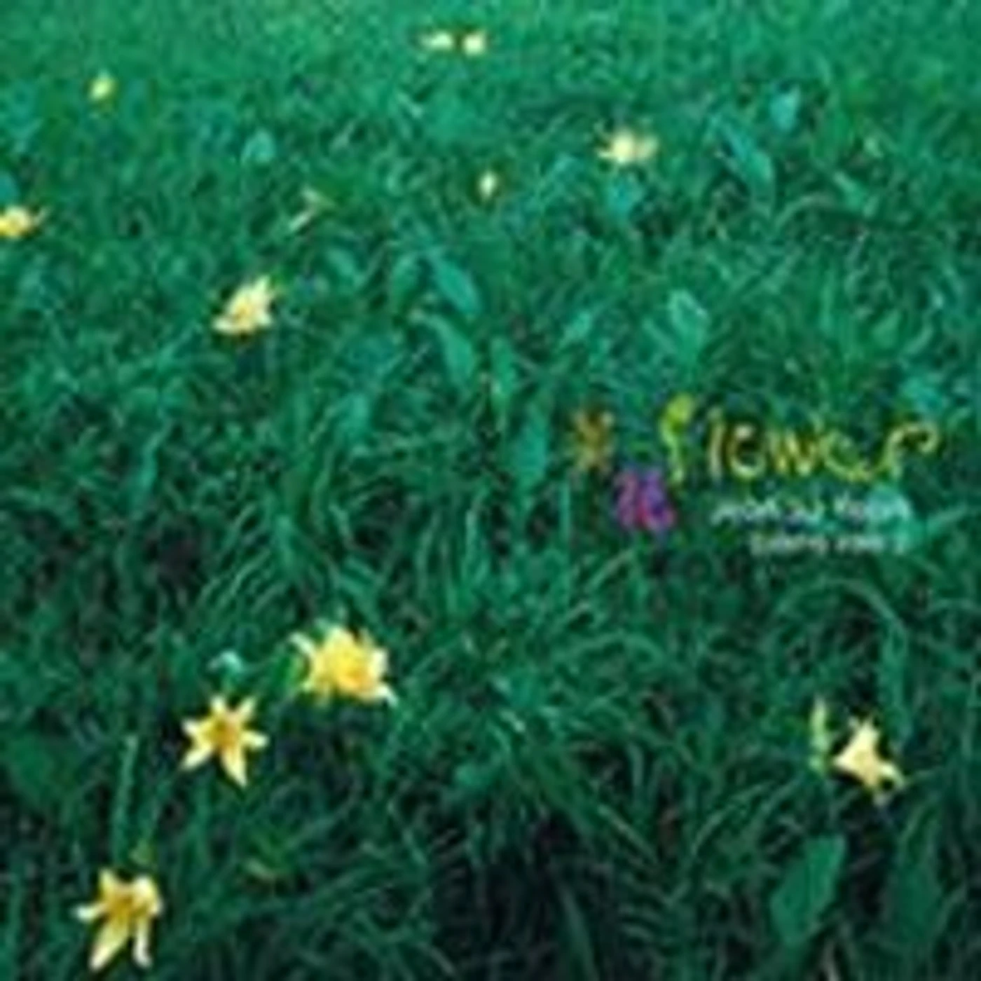 Jeon Su Yeon FLOWER CD