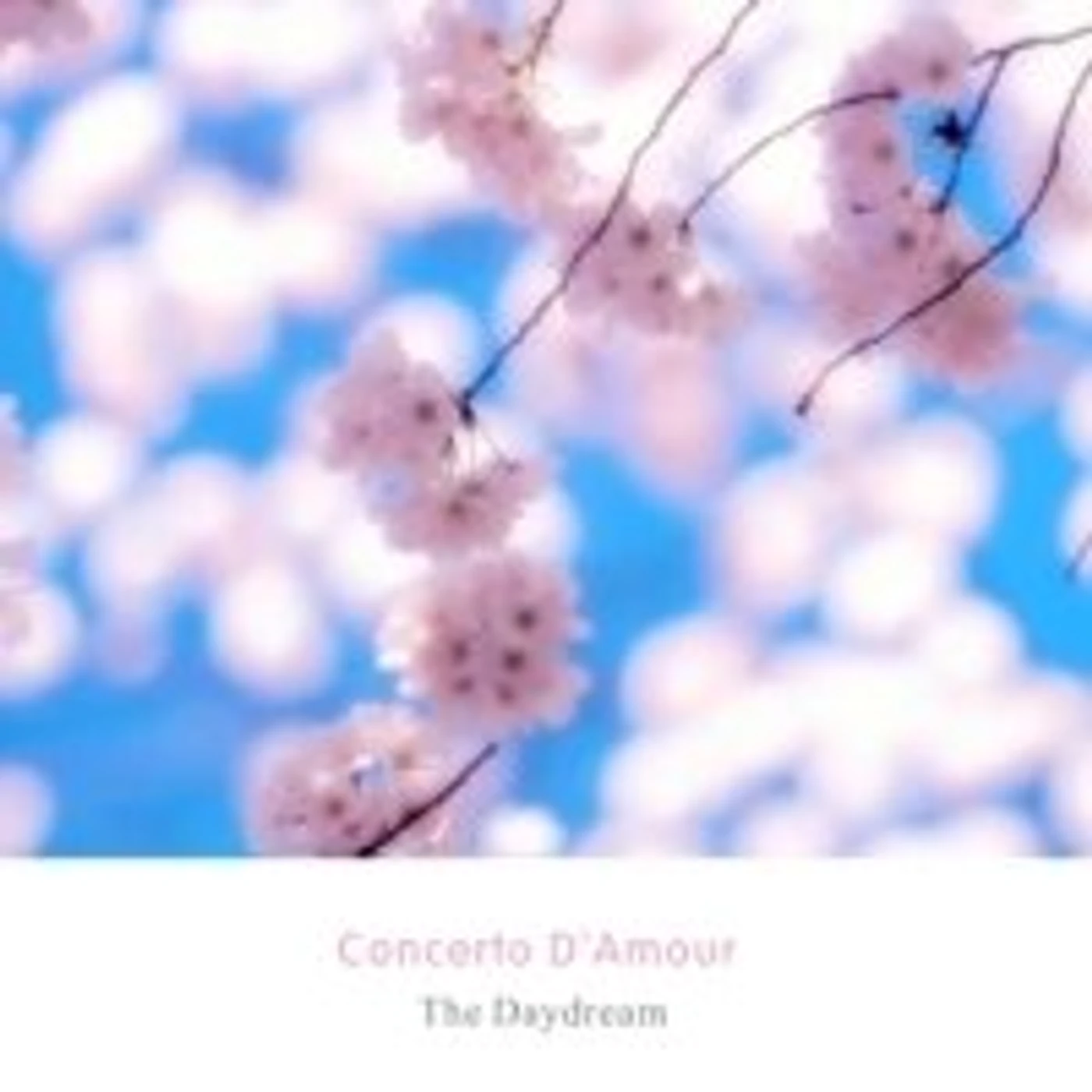 Daydream CONCERTO DAMOUR CD
