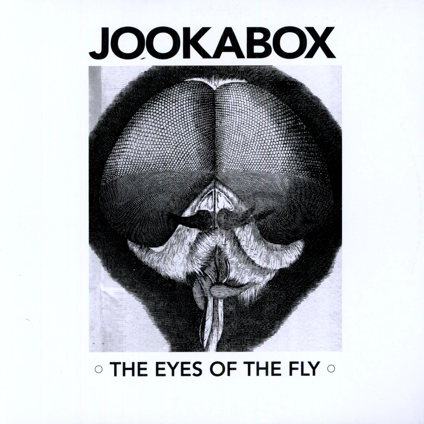 Jookabox Eyes of the Fly Vinyl Record