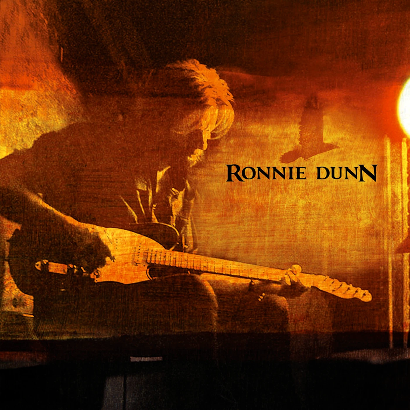 RONNIE DUNN CD