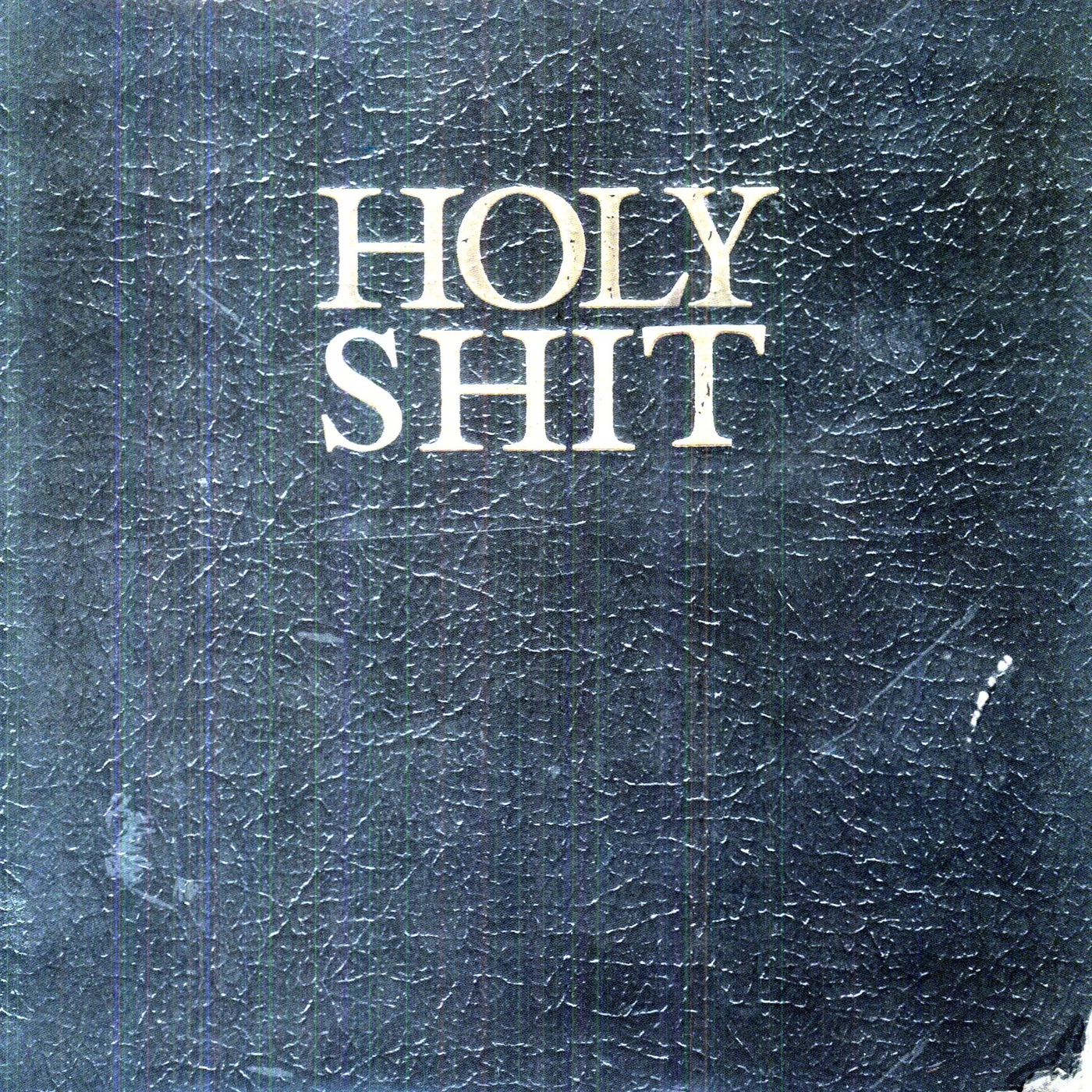 Living With Lions HOLY SHIT (Vinyl)