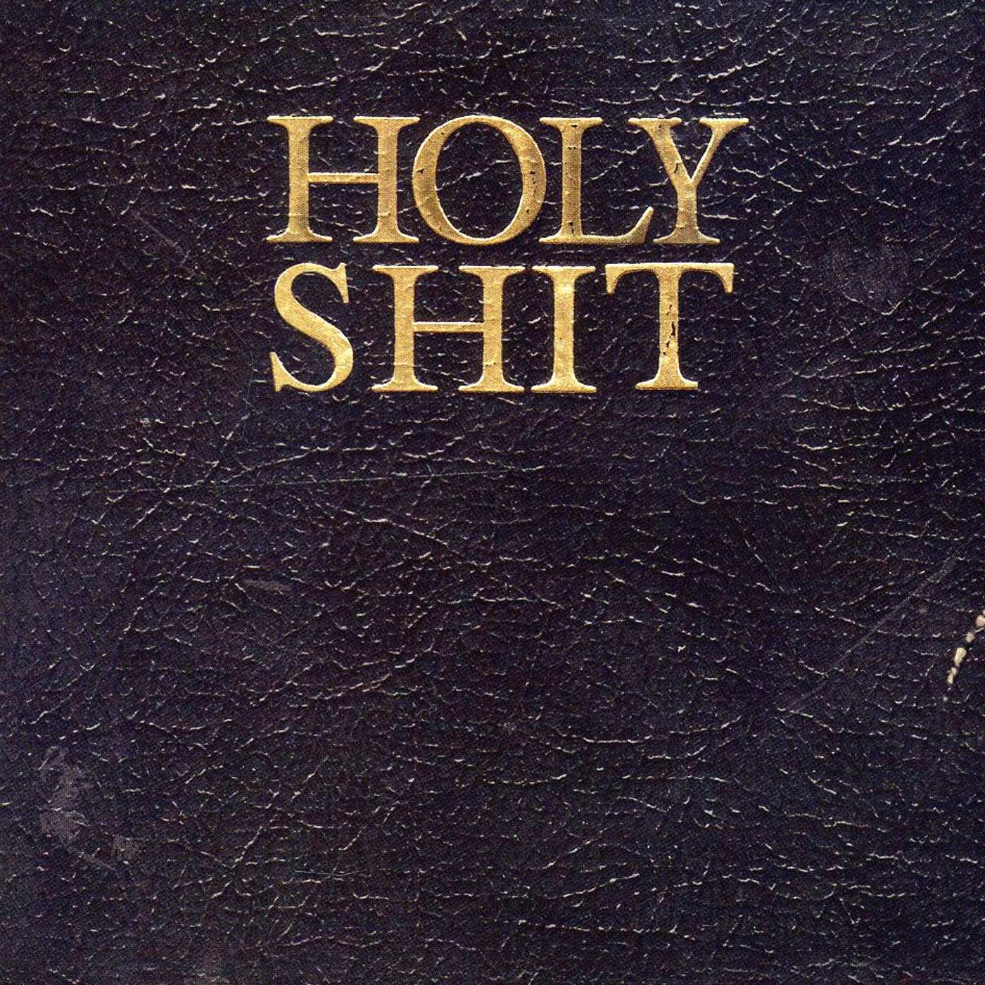 Living With Lions HOLY SHIT CD