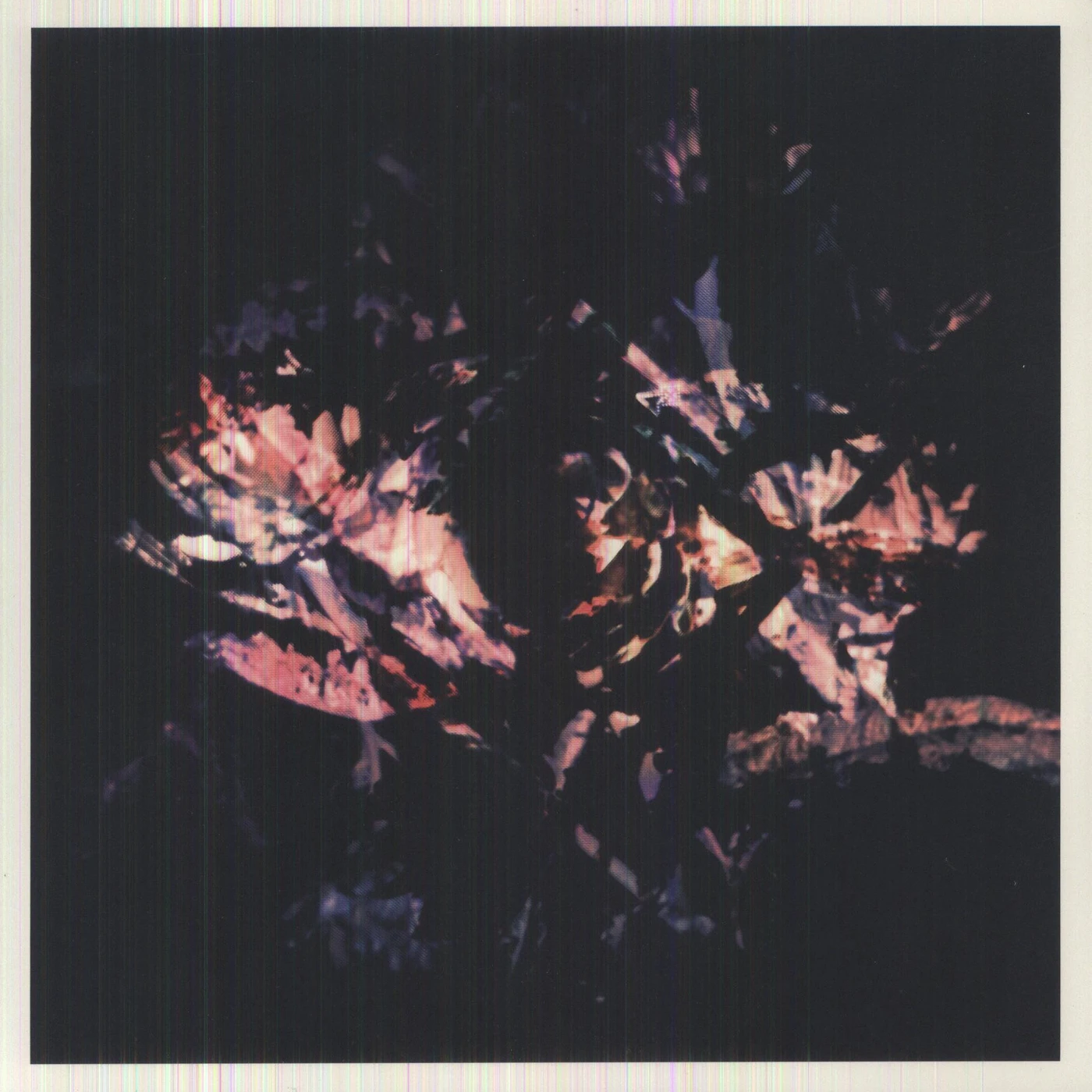 Fredrik FLORA Vinyl Record