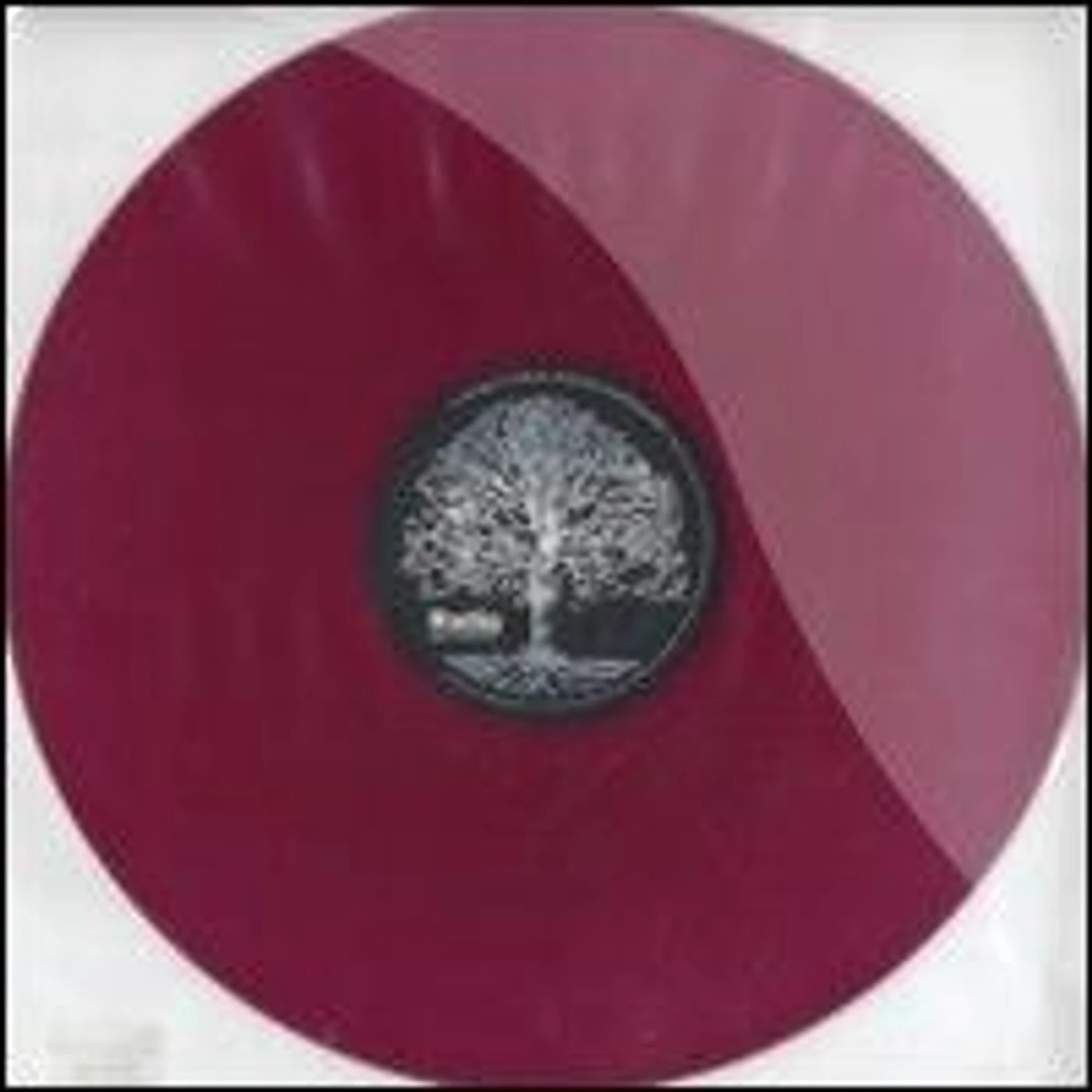 Radiq MO ROOTS Vinyl Record