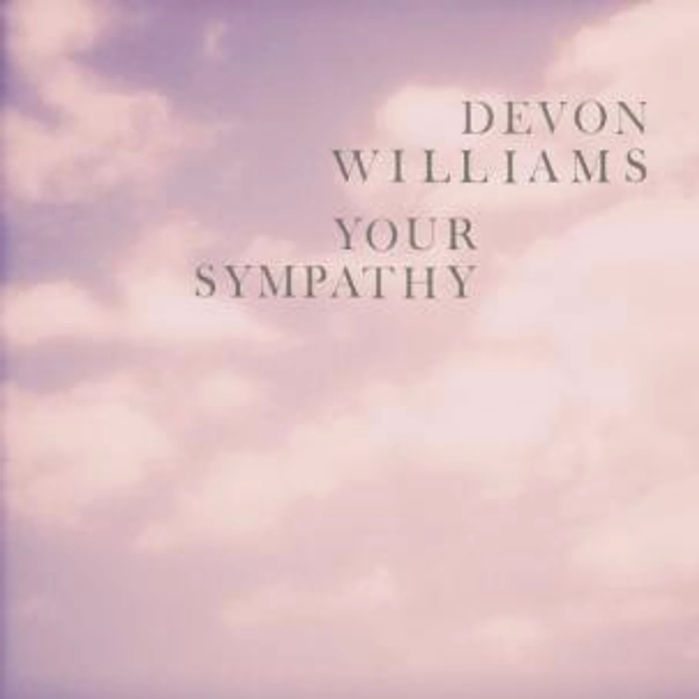 Devon Williams Your Sympathy Vinyl Record