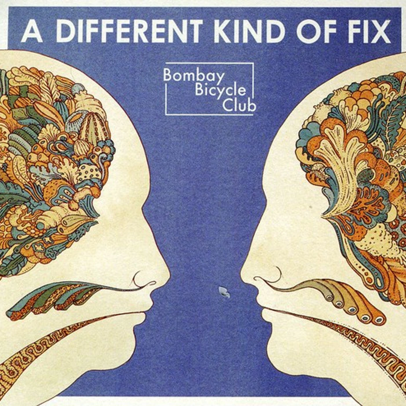 Bombay Bicycle Club DIFFERENT KIND OF FIX CD