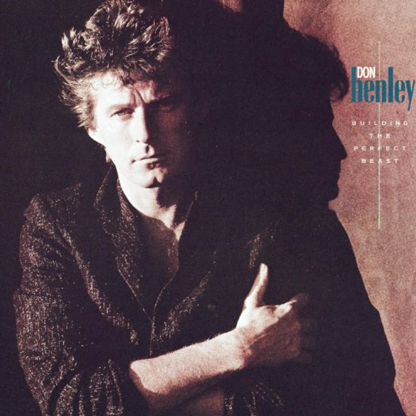 Don Henley BUILDING PERFECT BEAST CD