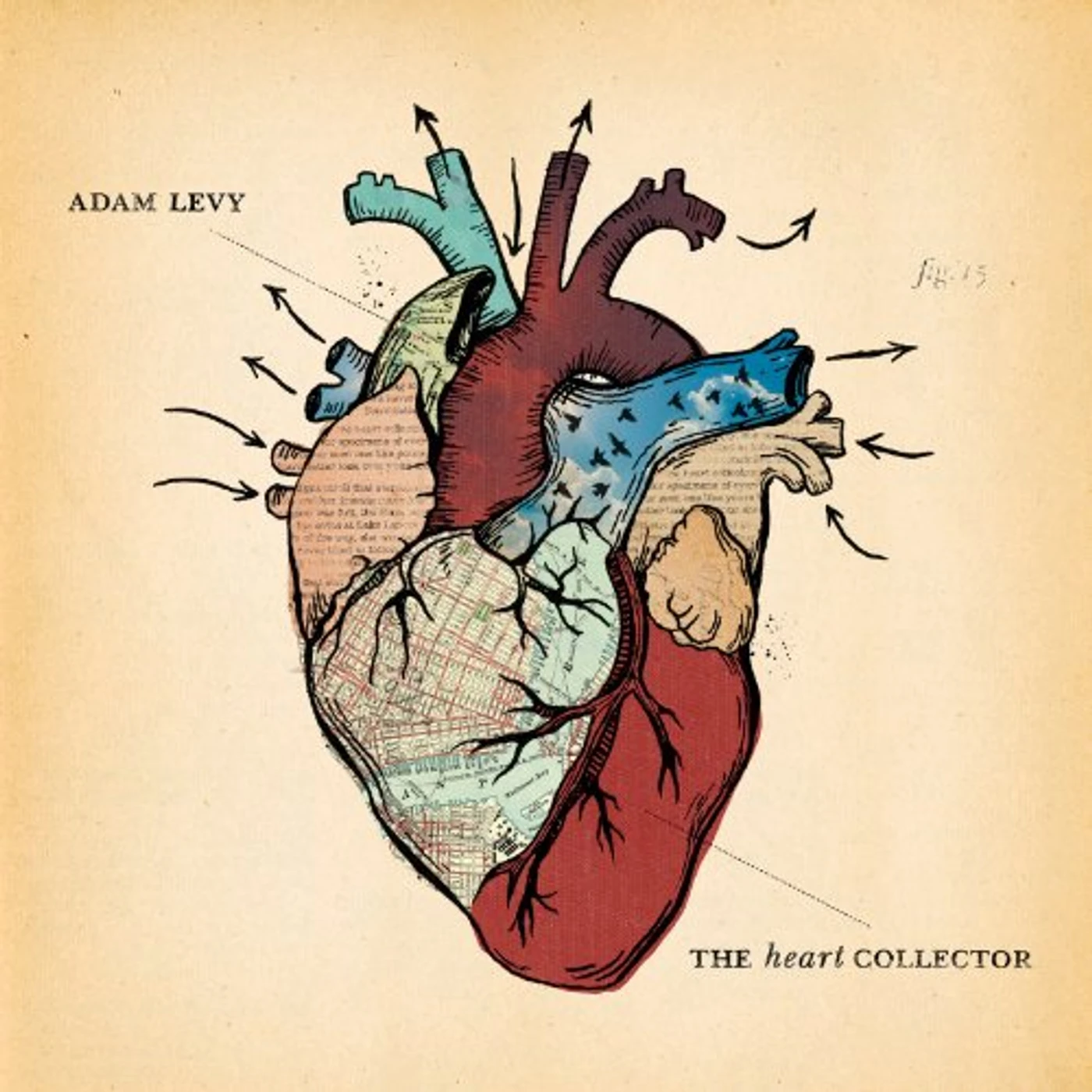 Adam Levy HEART COLLECTOR CD
