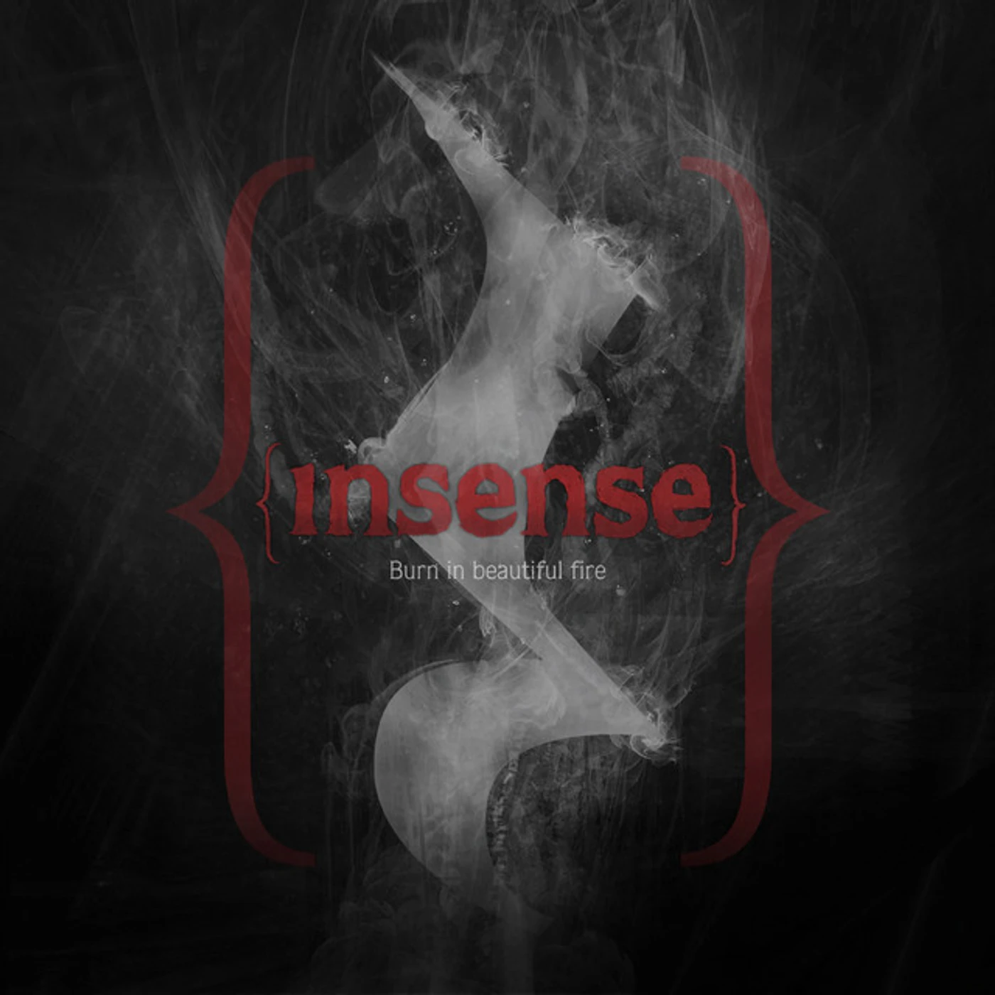 Insense BURN IN A BEAUTIFUL FIRE CD